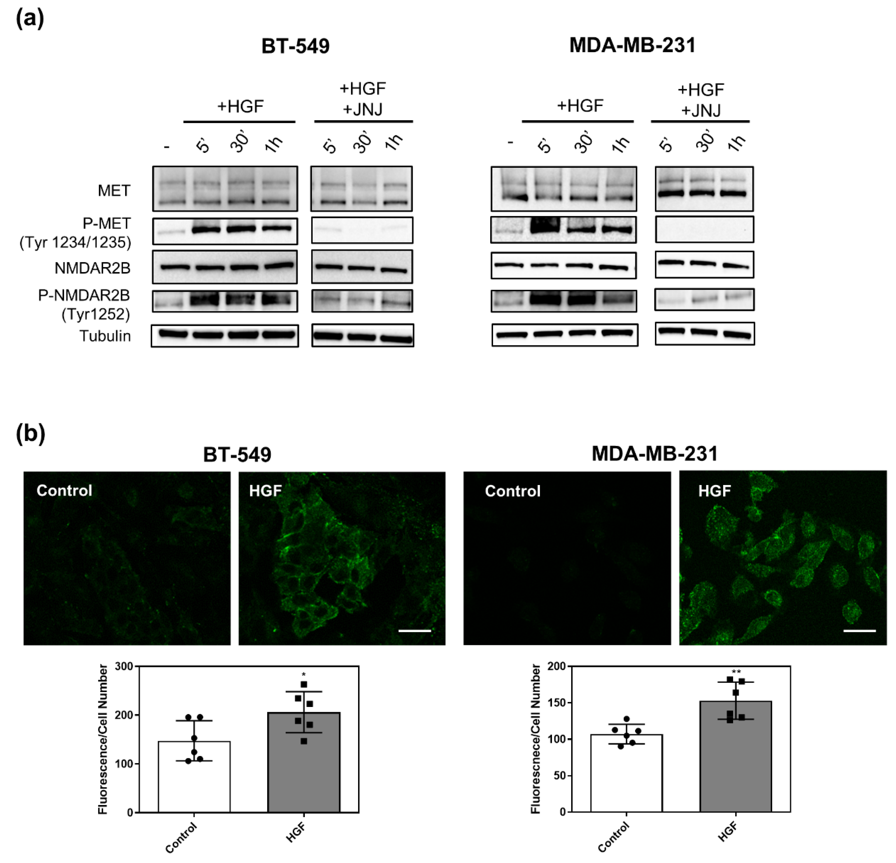 Cancers 14 04408 g002