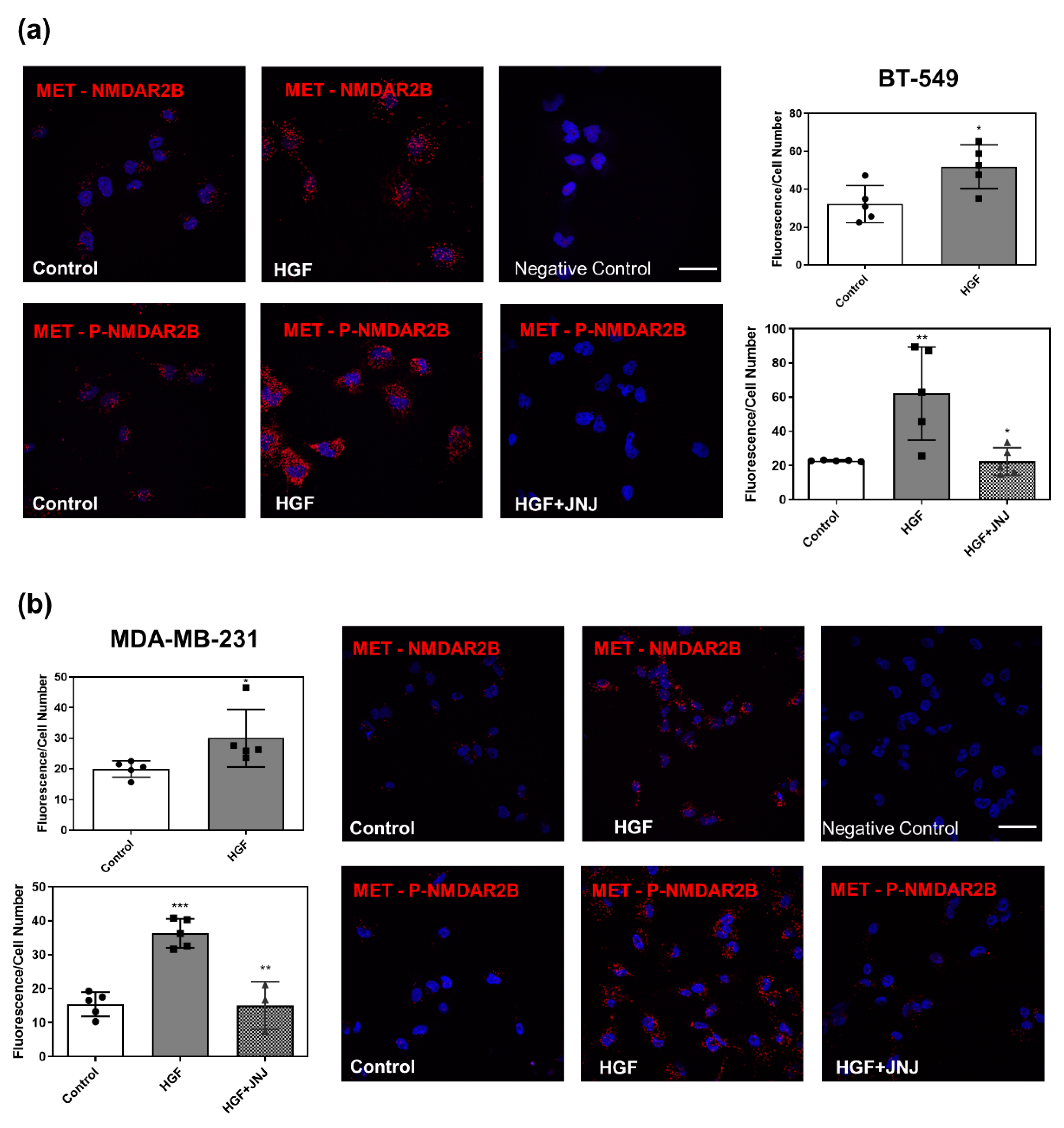 Cancers 14 04408 g004