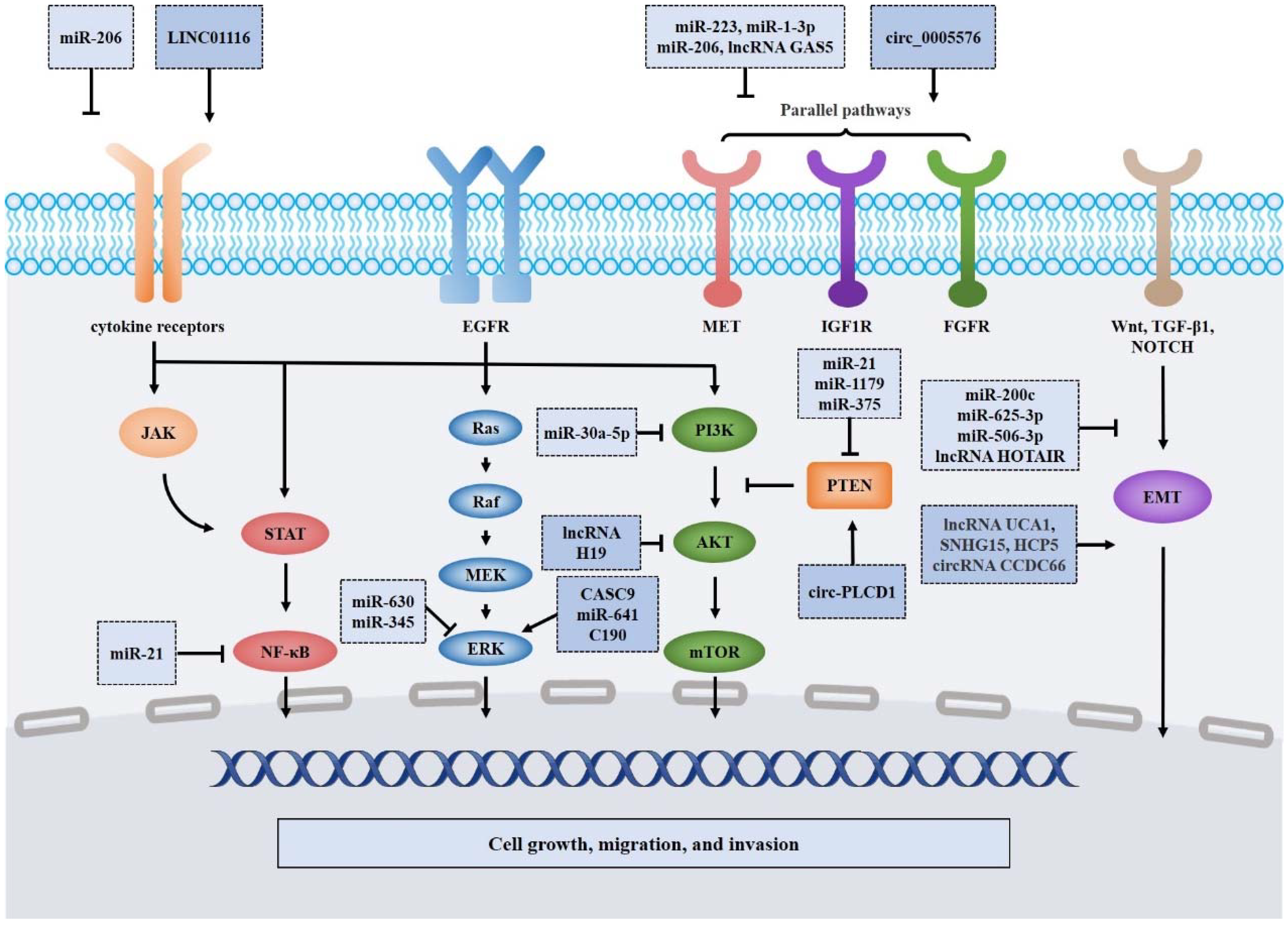 Cancers 14 04423 g002