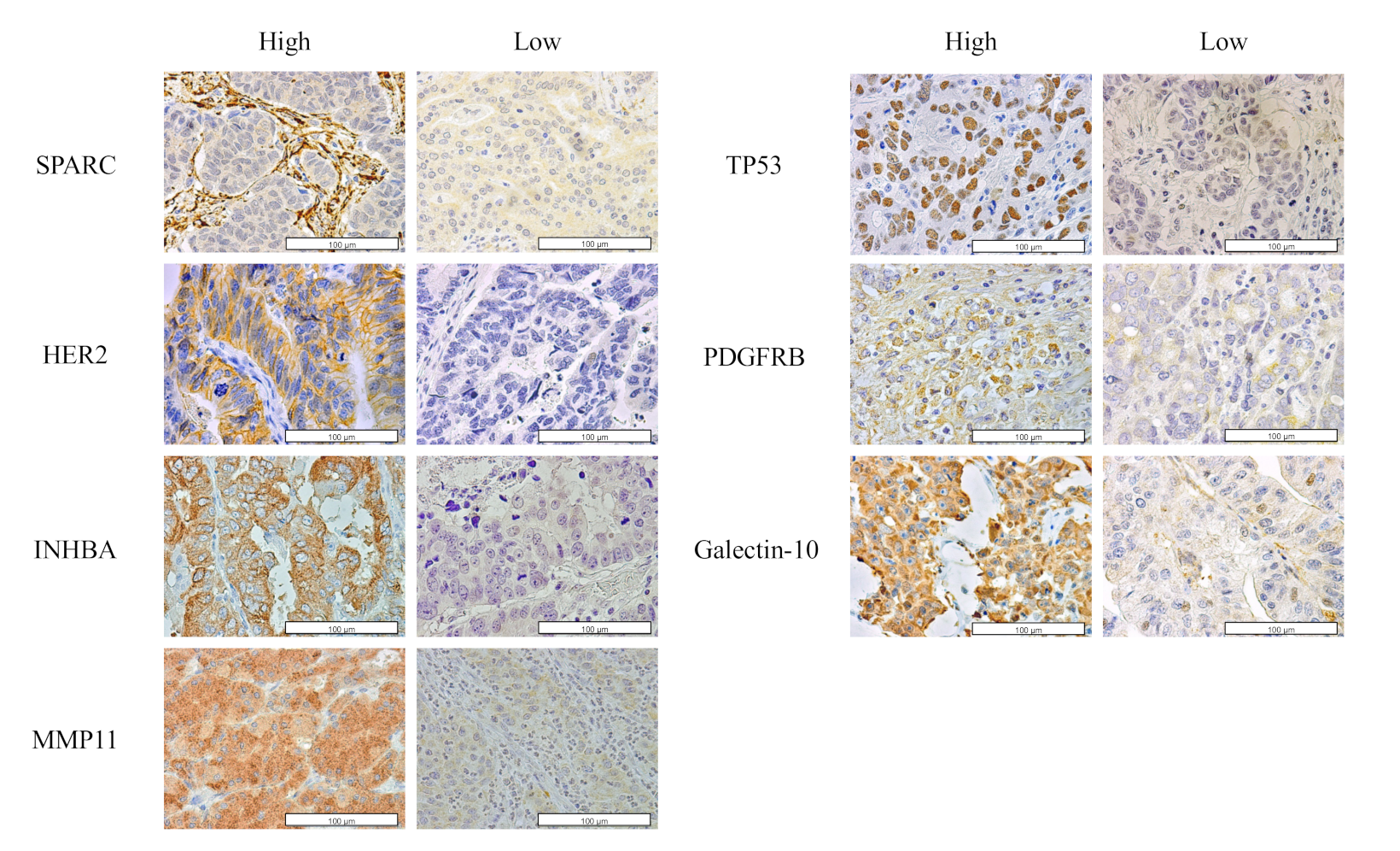 Cancers 14 04427 g002 Cancers 14 04427 g002