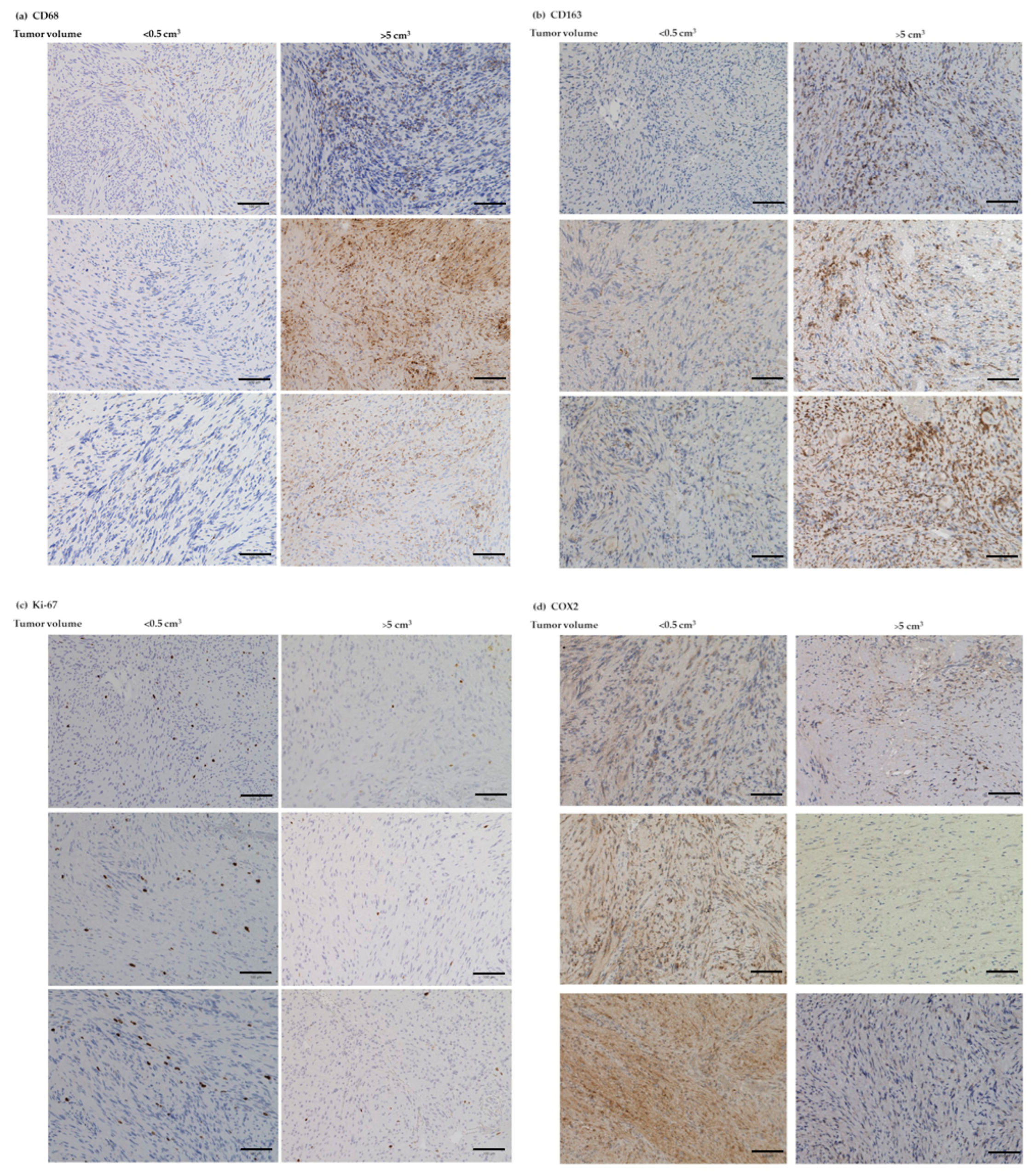 Cancers 14 04429 g007