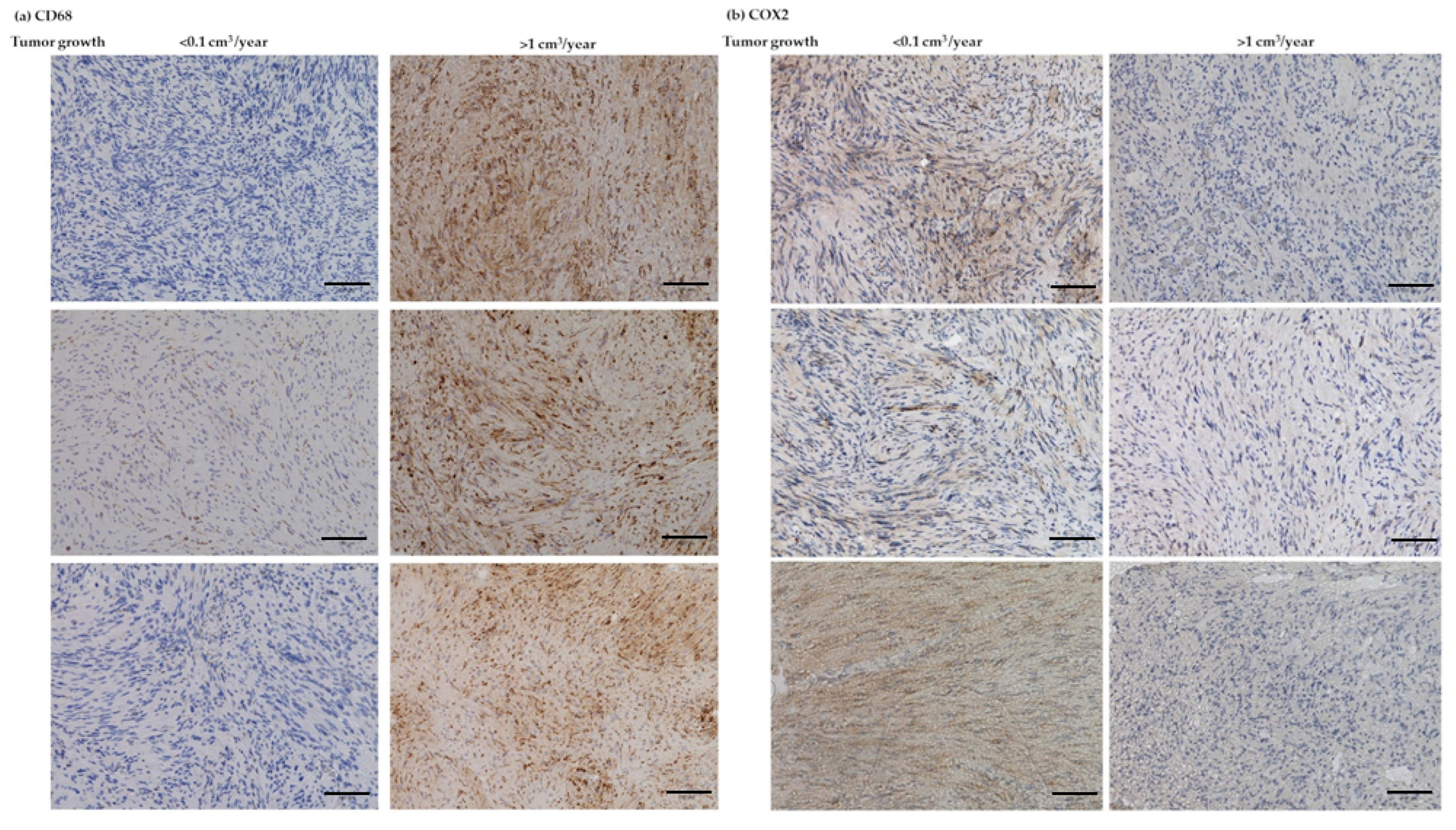 Cancers 14 04429 g008