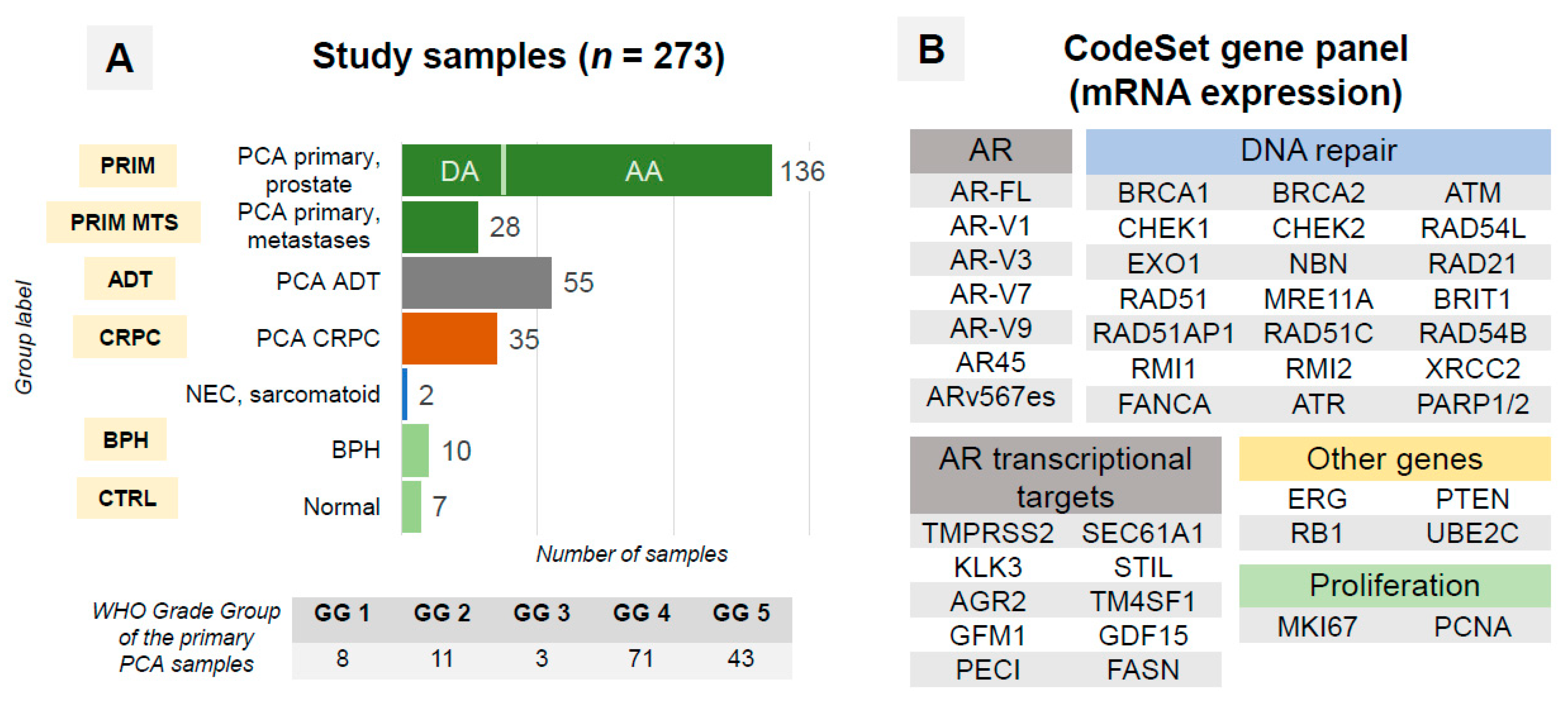 Cancers 14 04441 g002