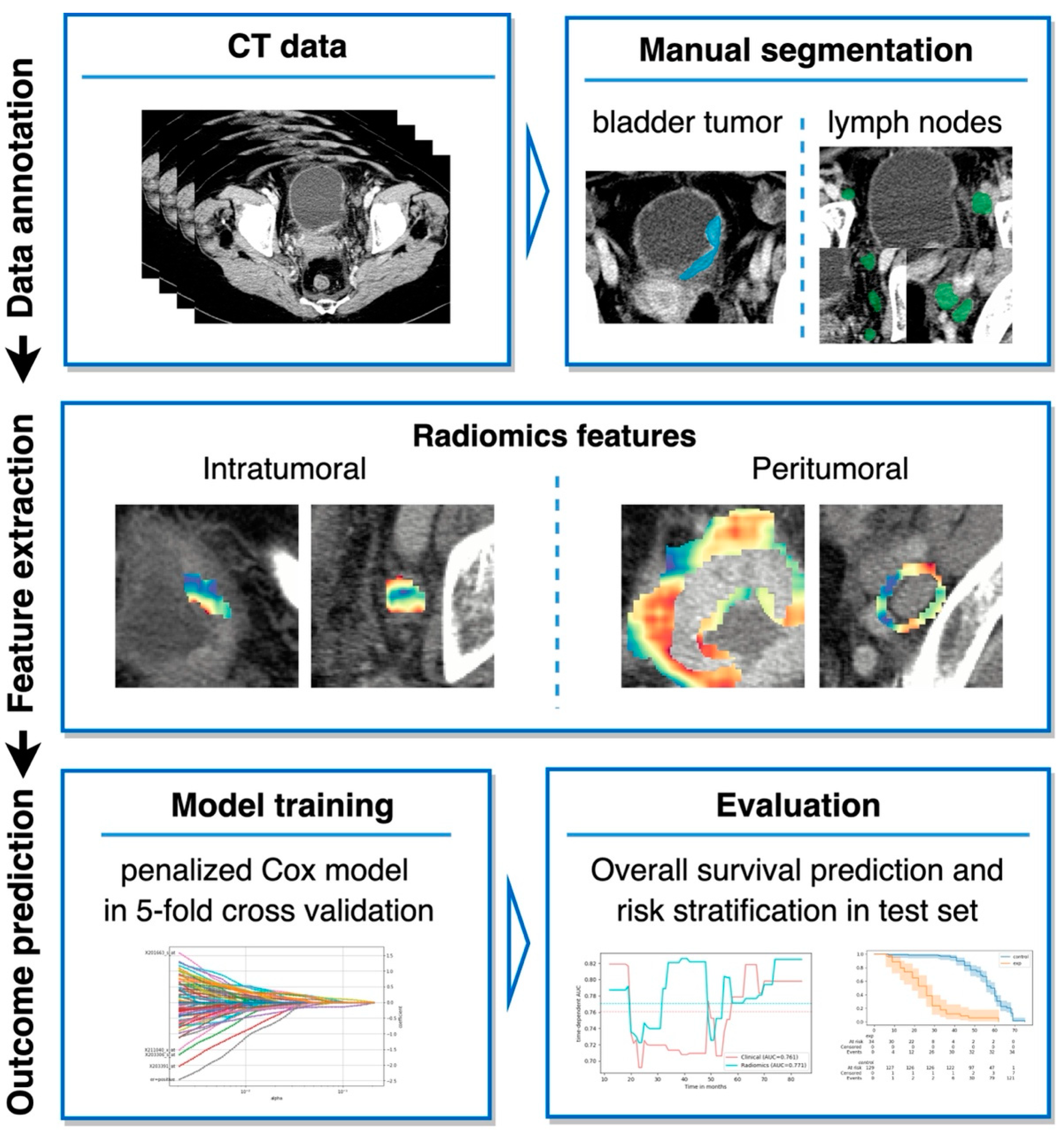 Cancers 14 04449 g002