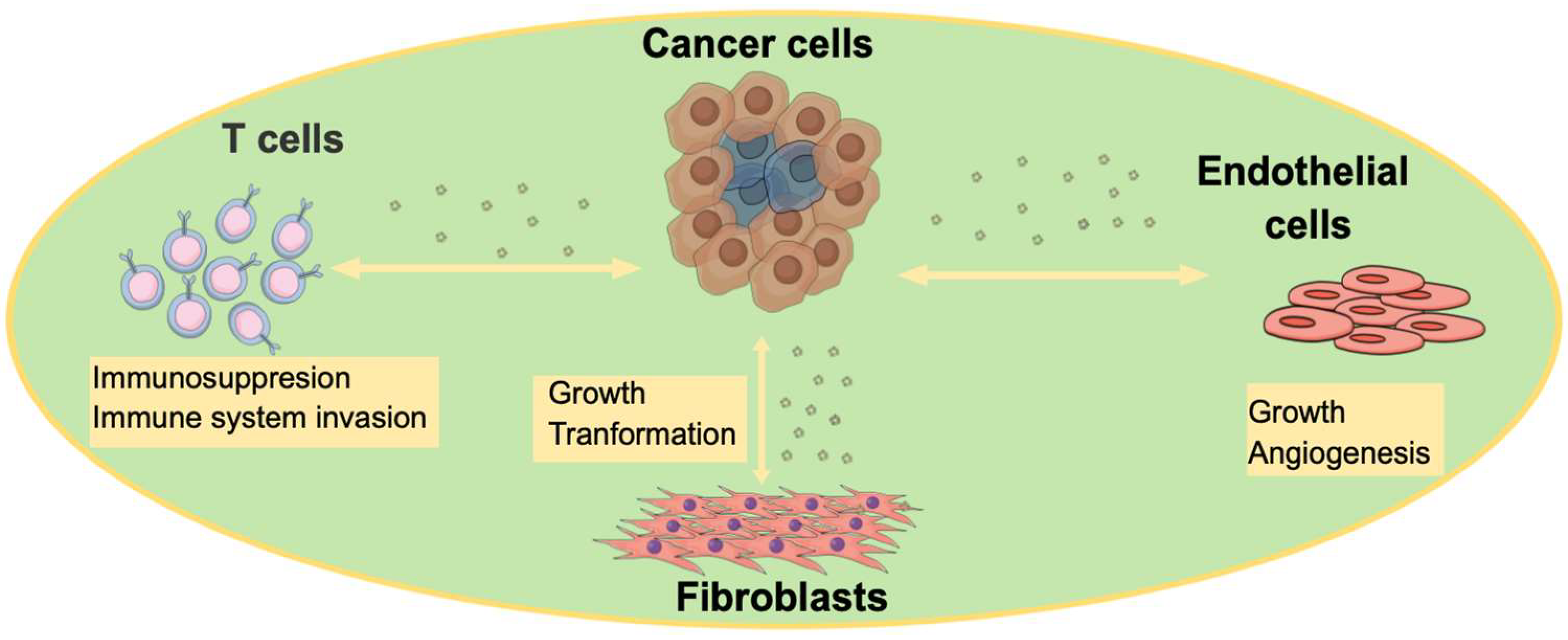 Cancers 14 04450 g002