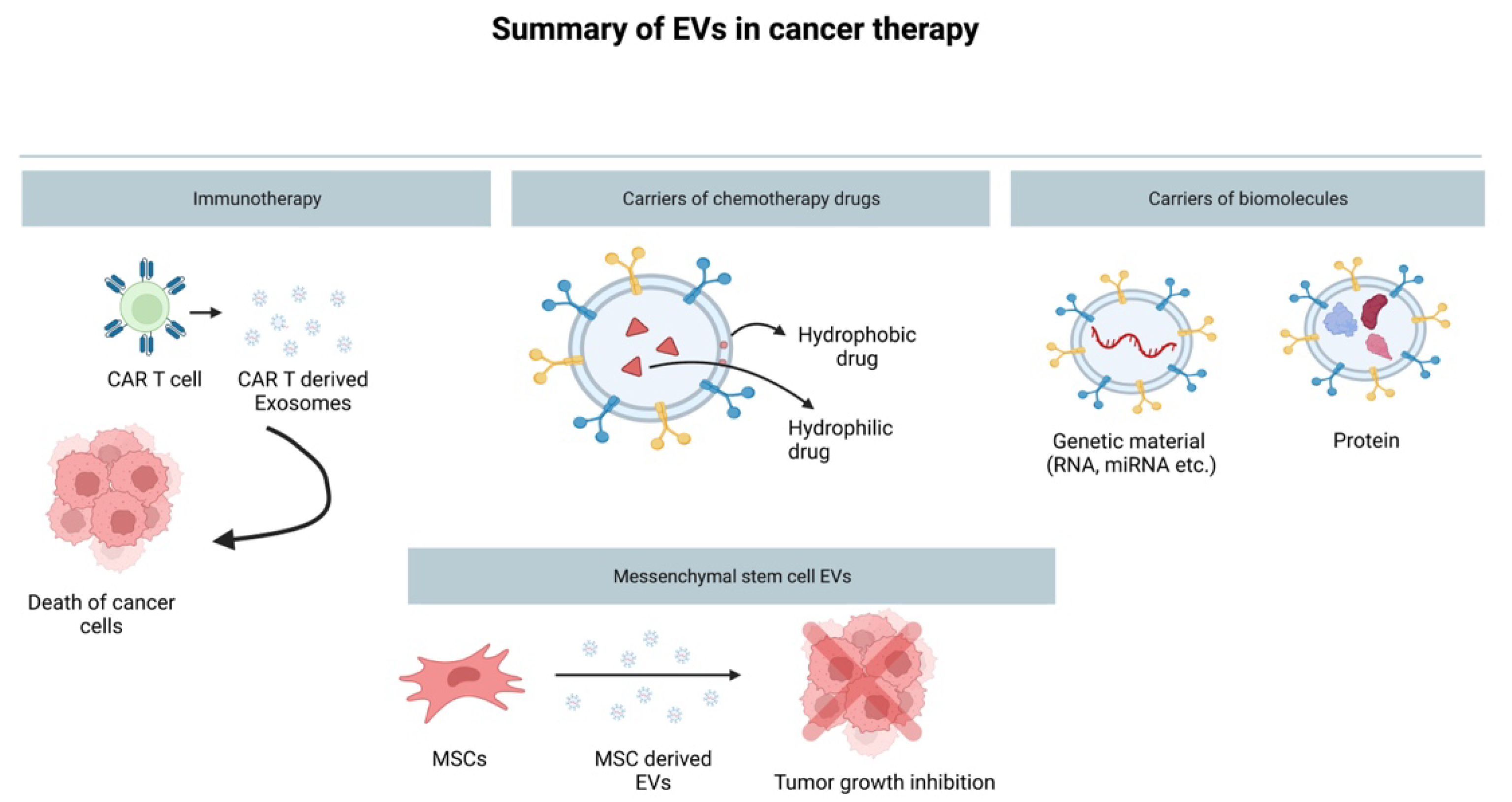 Cancers 14 04450 g003
