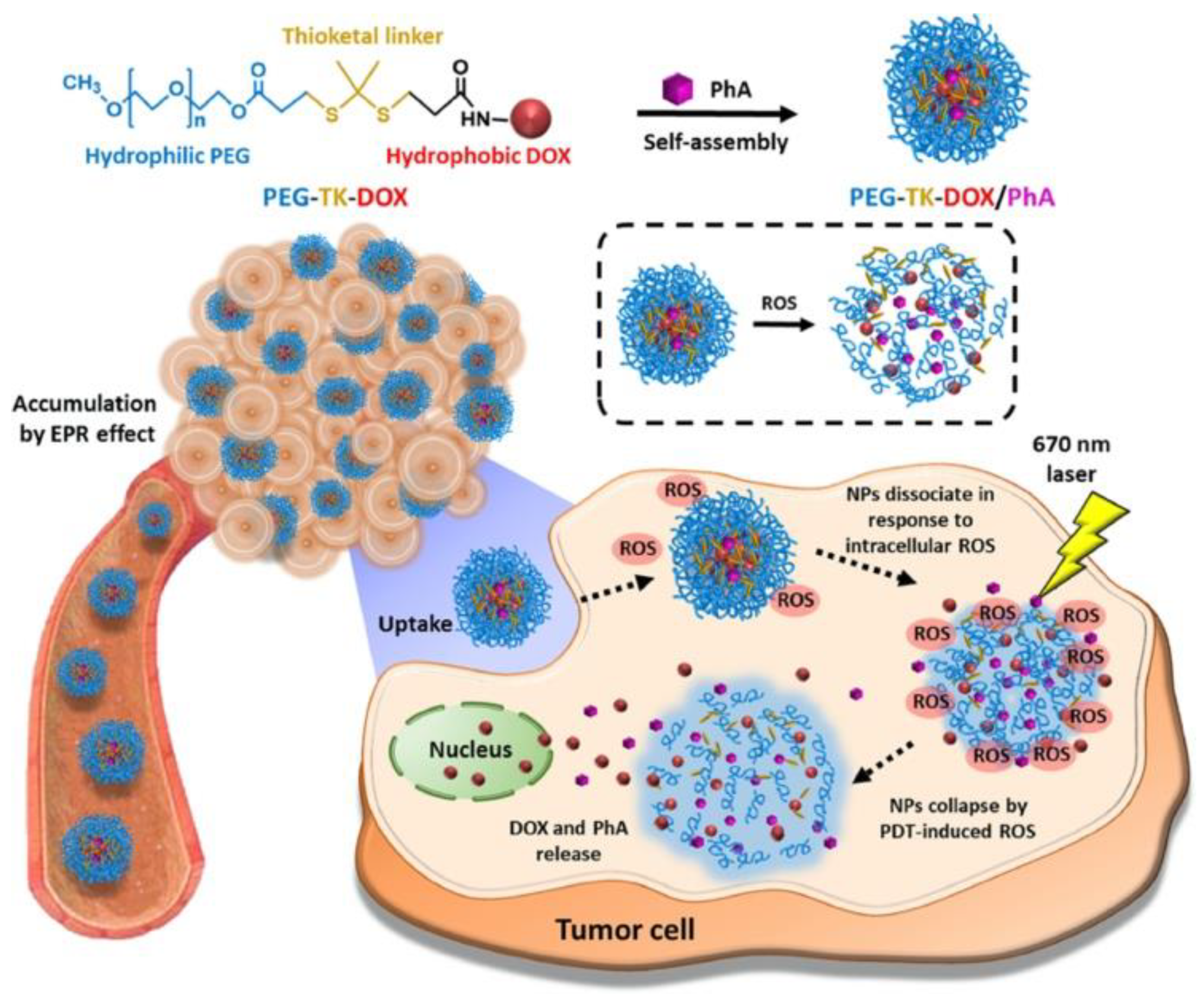Cancers 14 04462 sch002