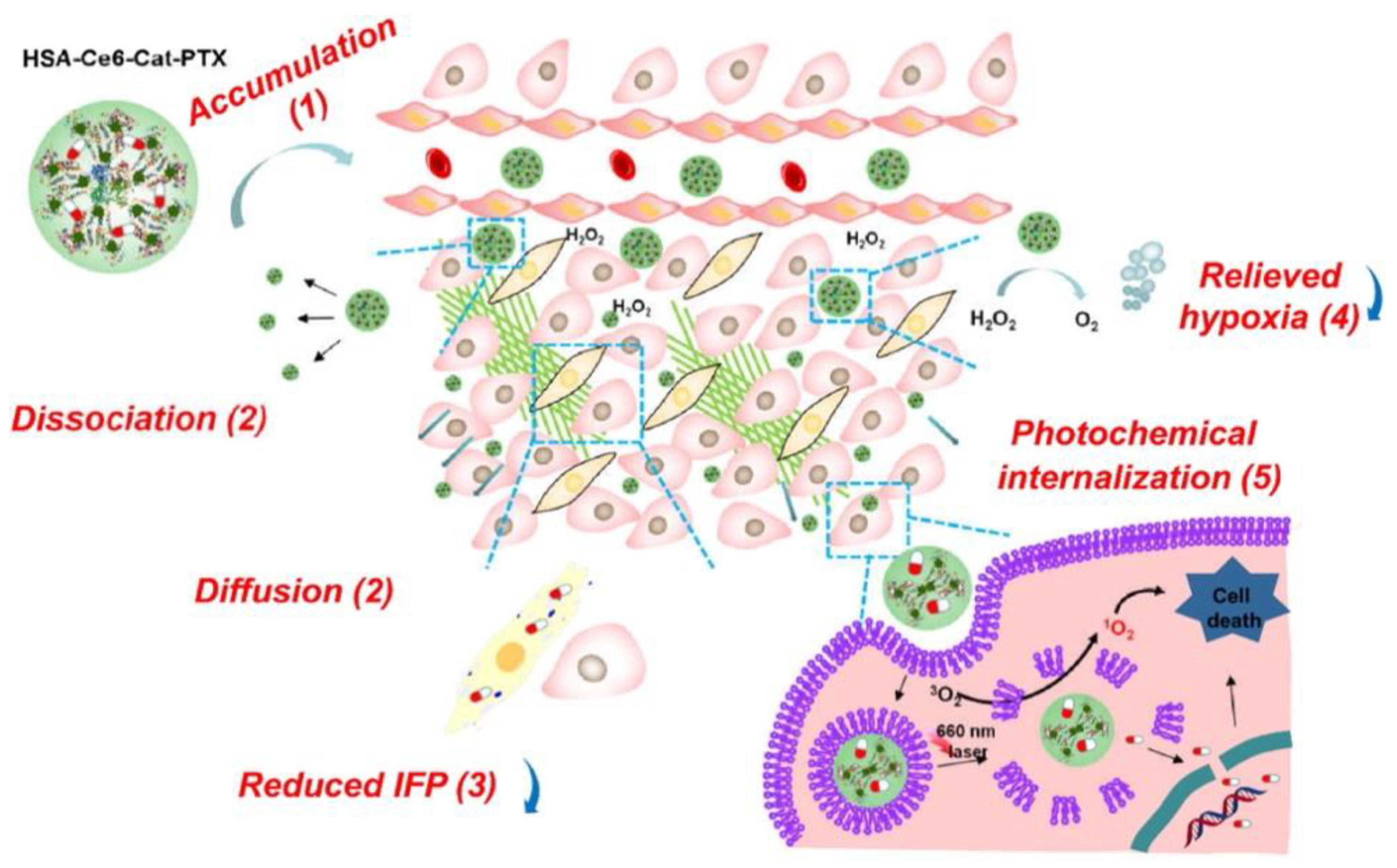 Cancers 14 04462 sch003