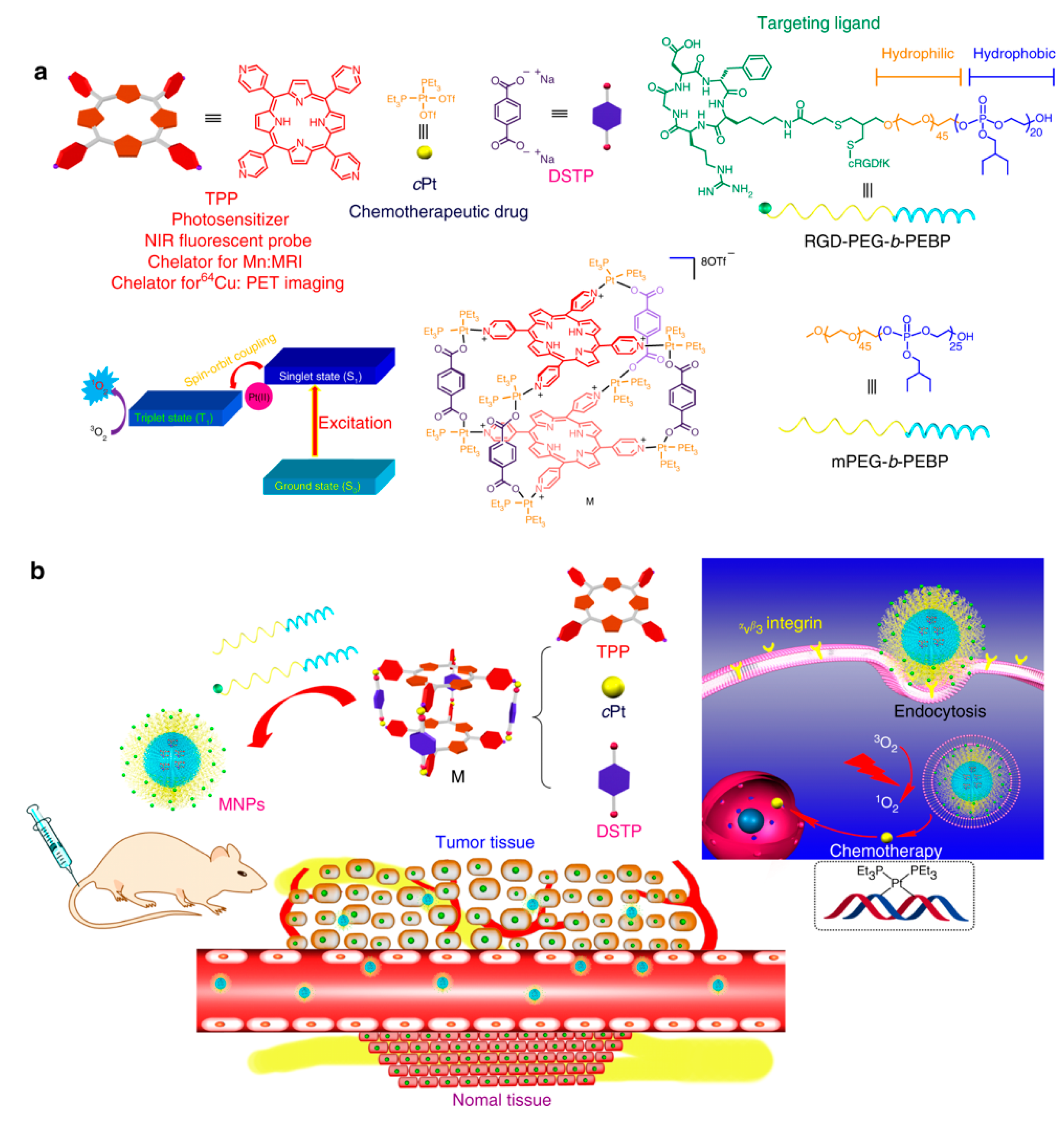 Cancers 14 04462 sch004