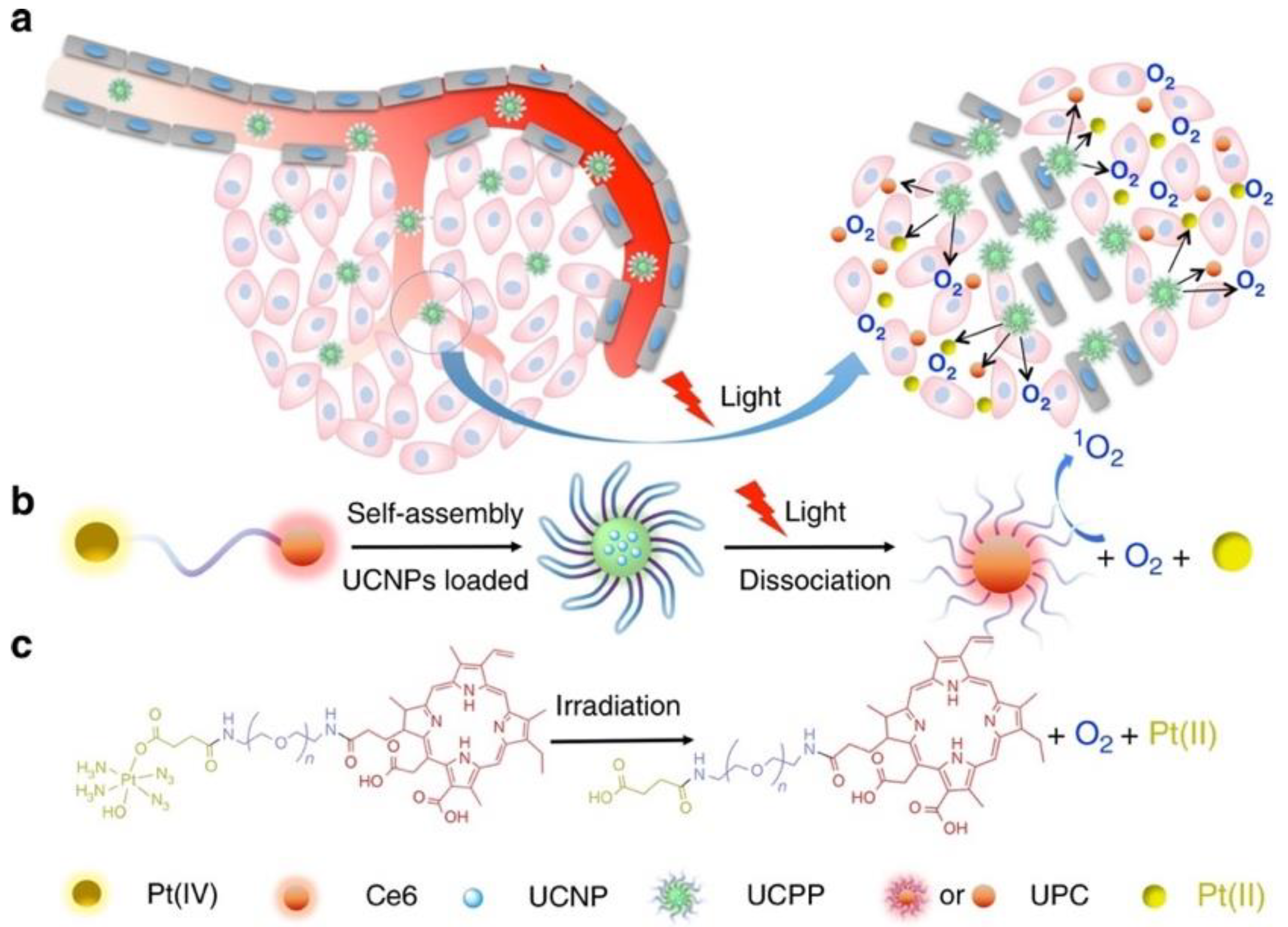 Cancers 14 04462 sch005