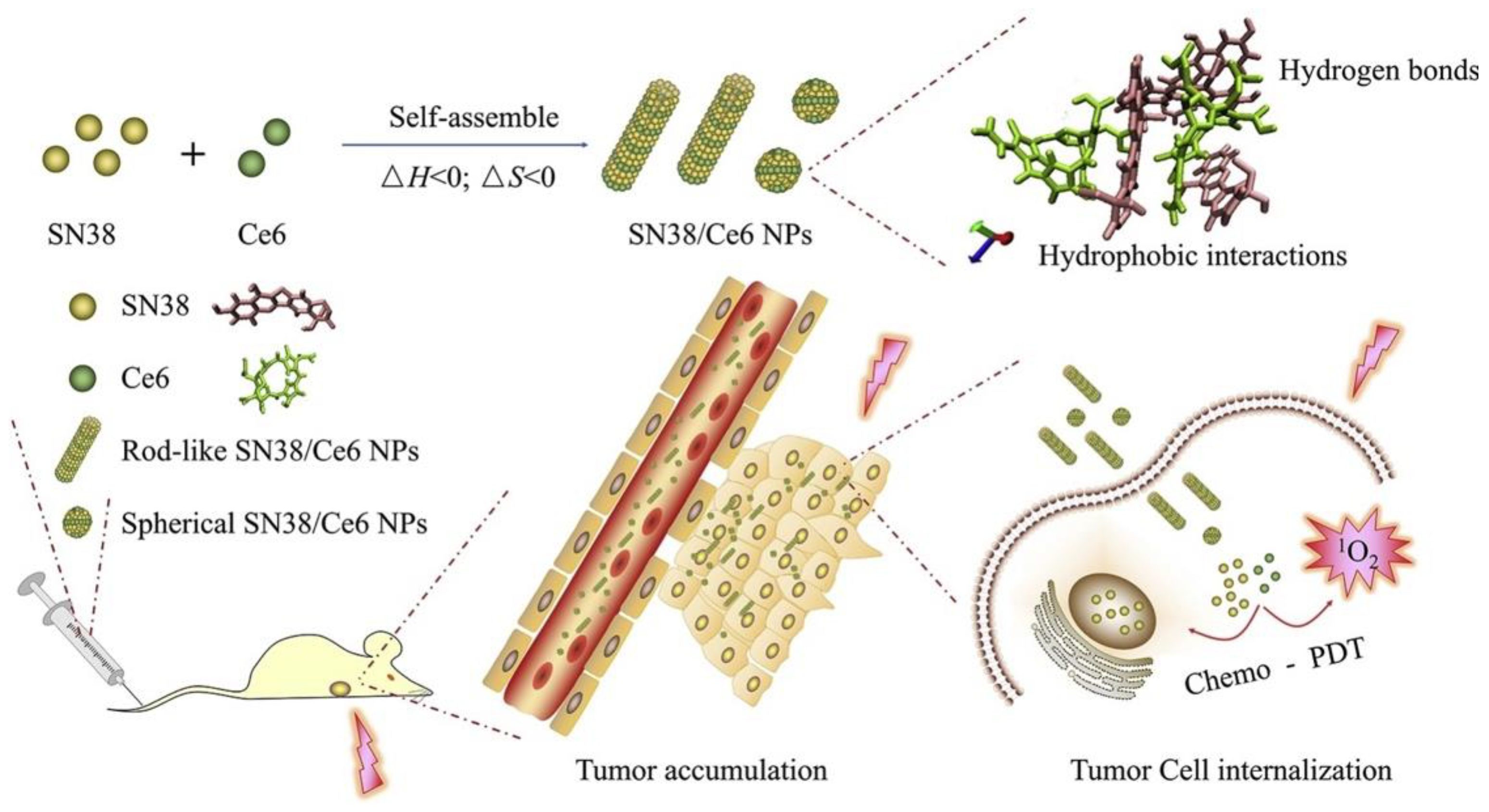 Cancers 14 04462 sch006