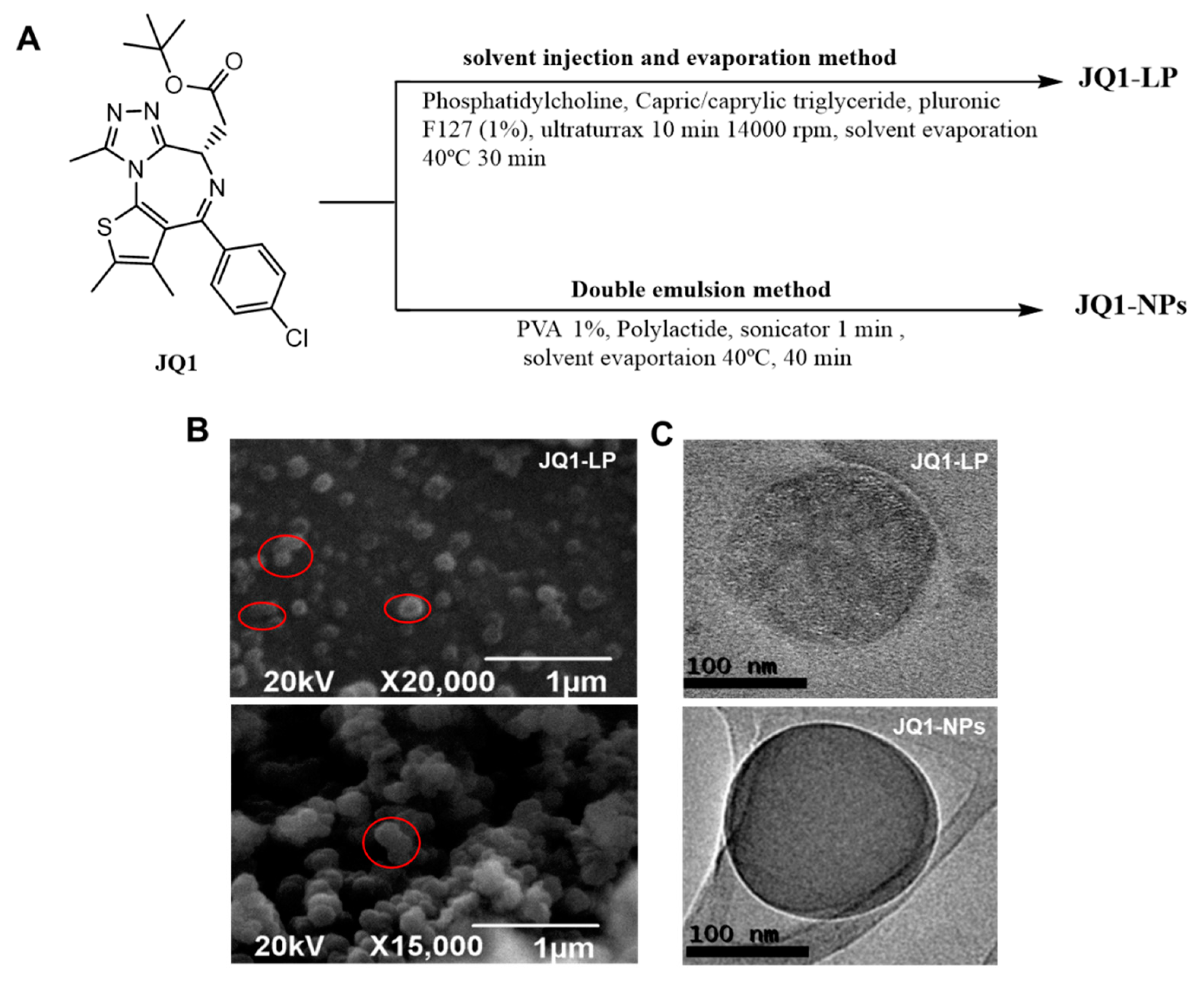 Cancers 14 04474 g001