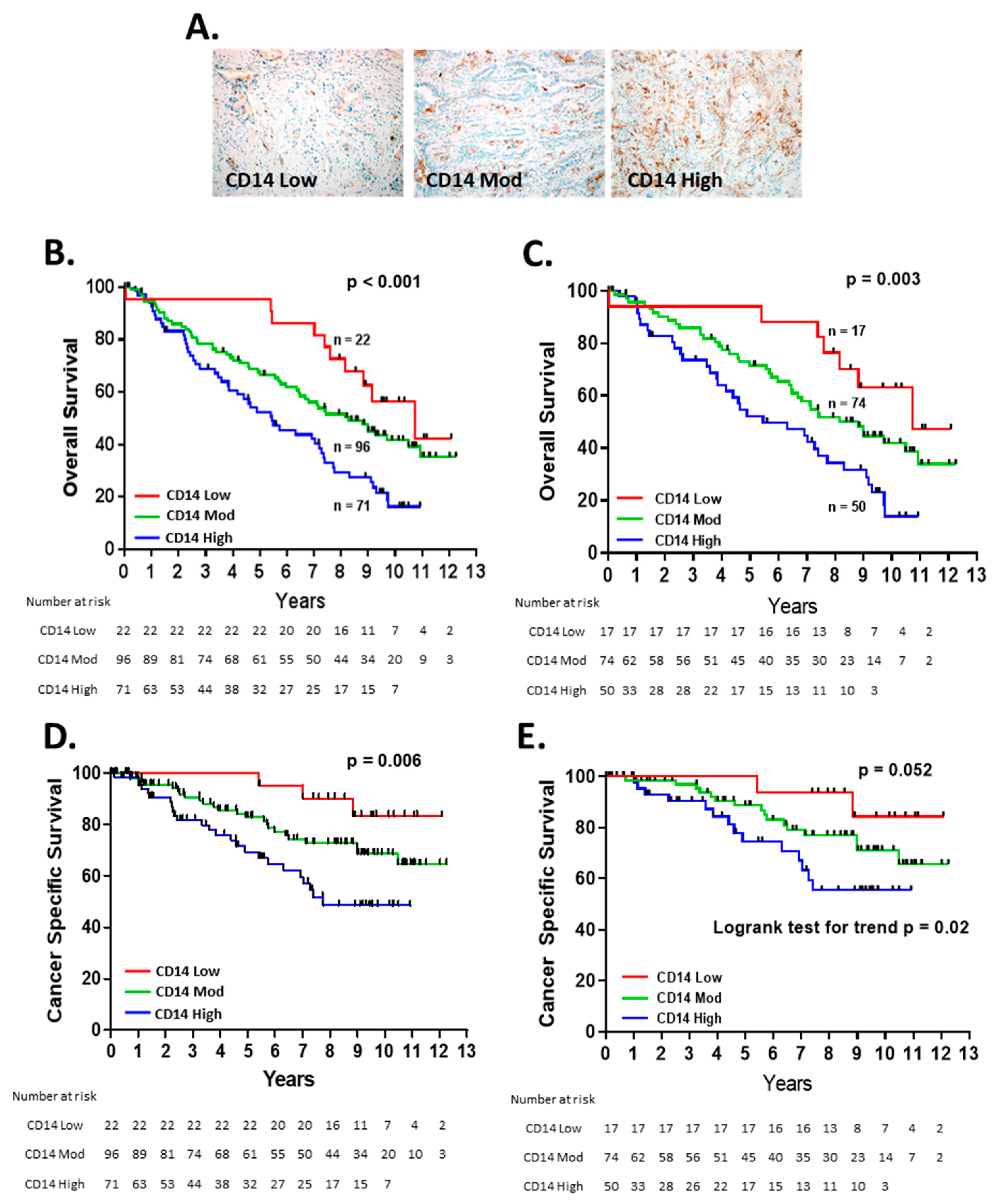 Cancers 14 04501 g001 Cancers 14 04501 g001