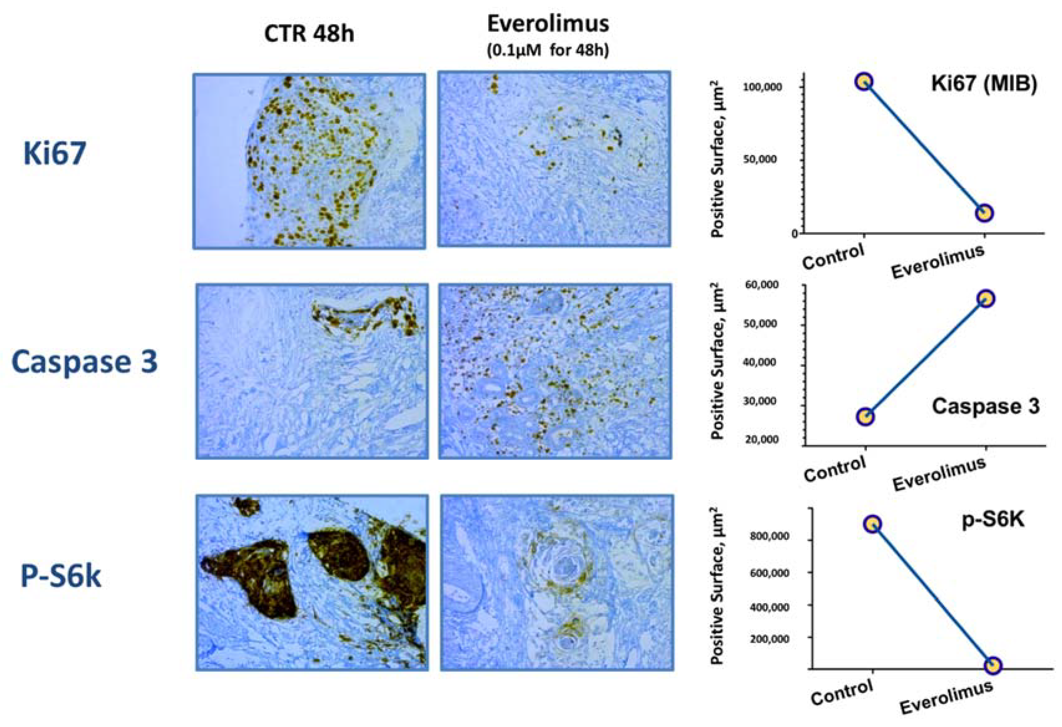 Cancers 14 04509 g004 Cancers 14 04509 g004