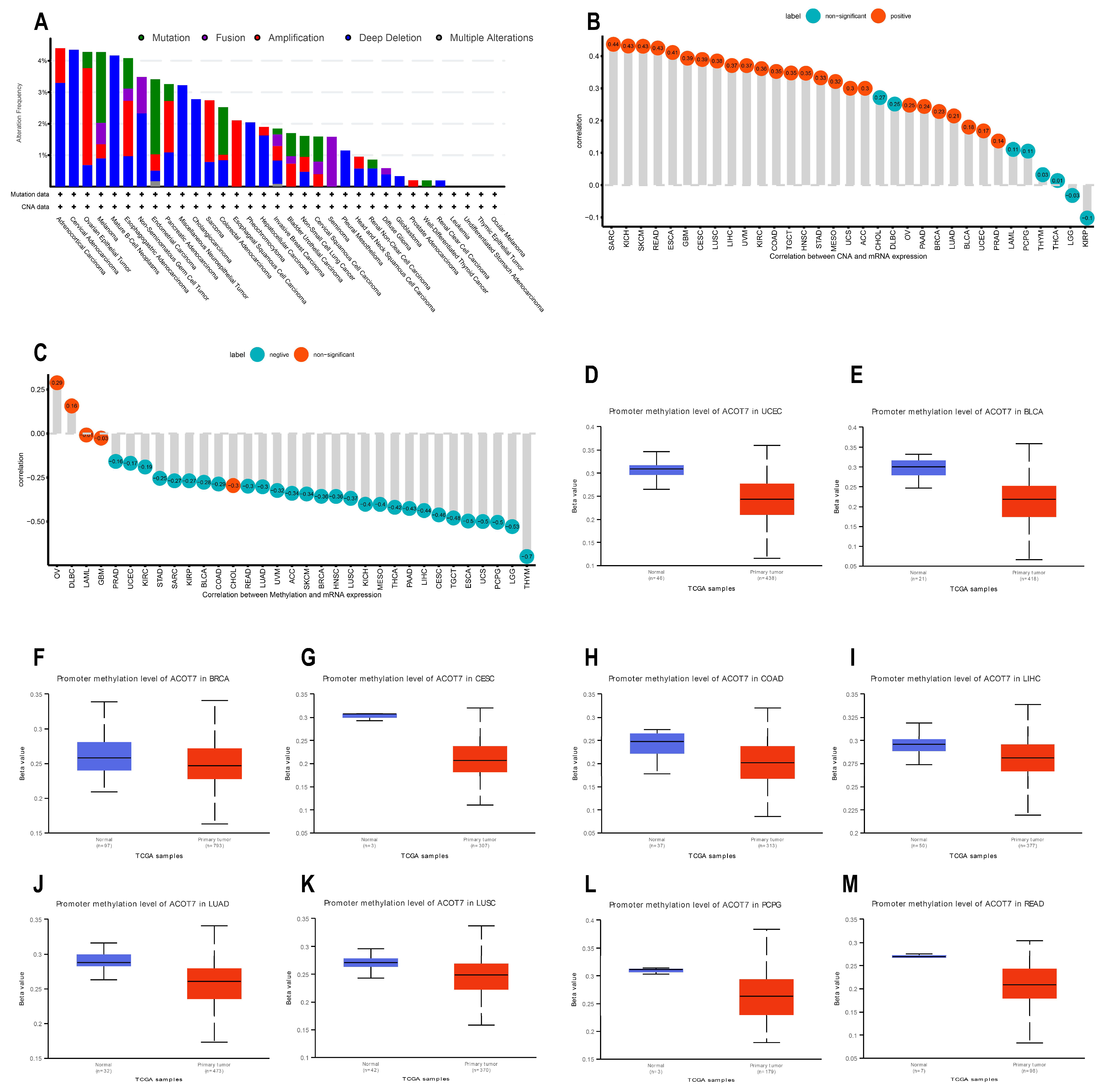 Cancers 14 04522 g004