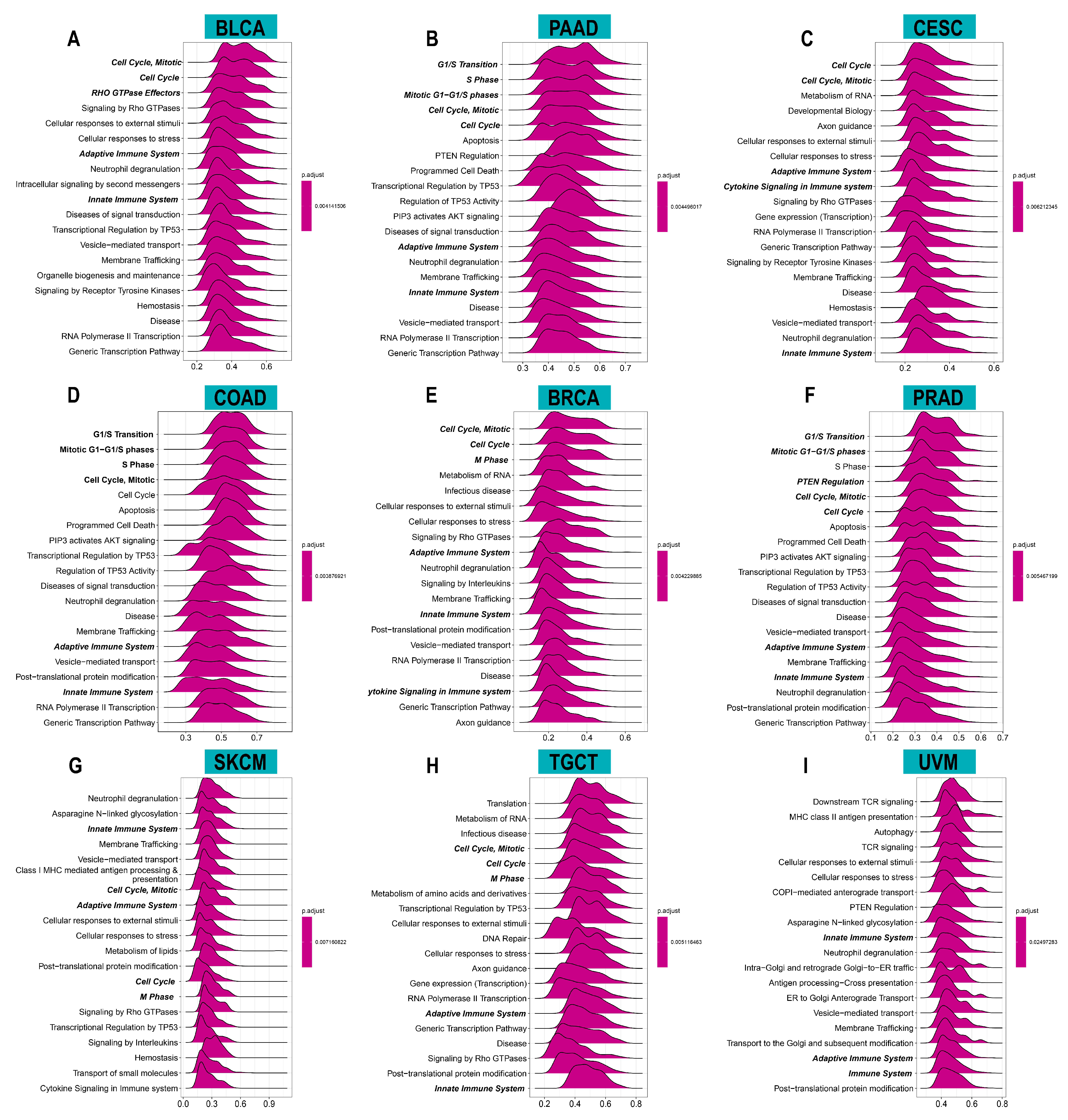 Cancers 14 04522 g005