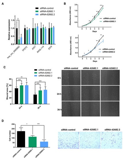 Cancers Free Full Text Circular Rna Hsa Circ 0062682 Binds To Ybx1