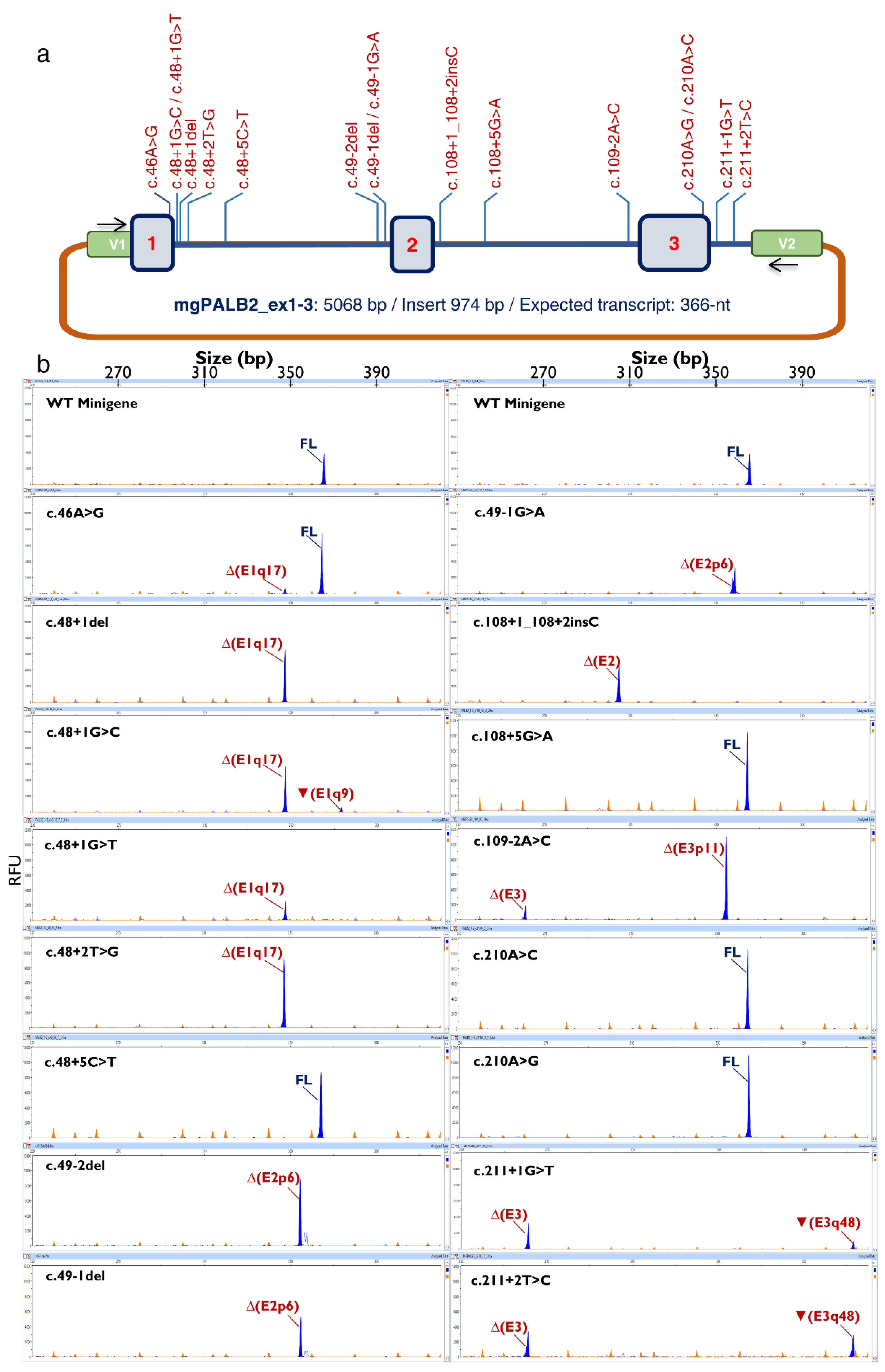 Cancers 14 04541 g001