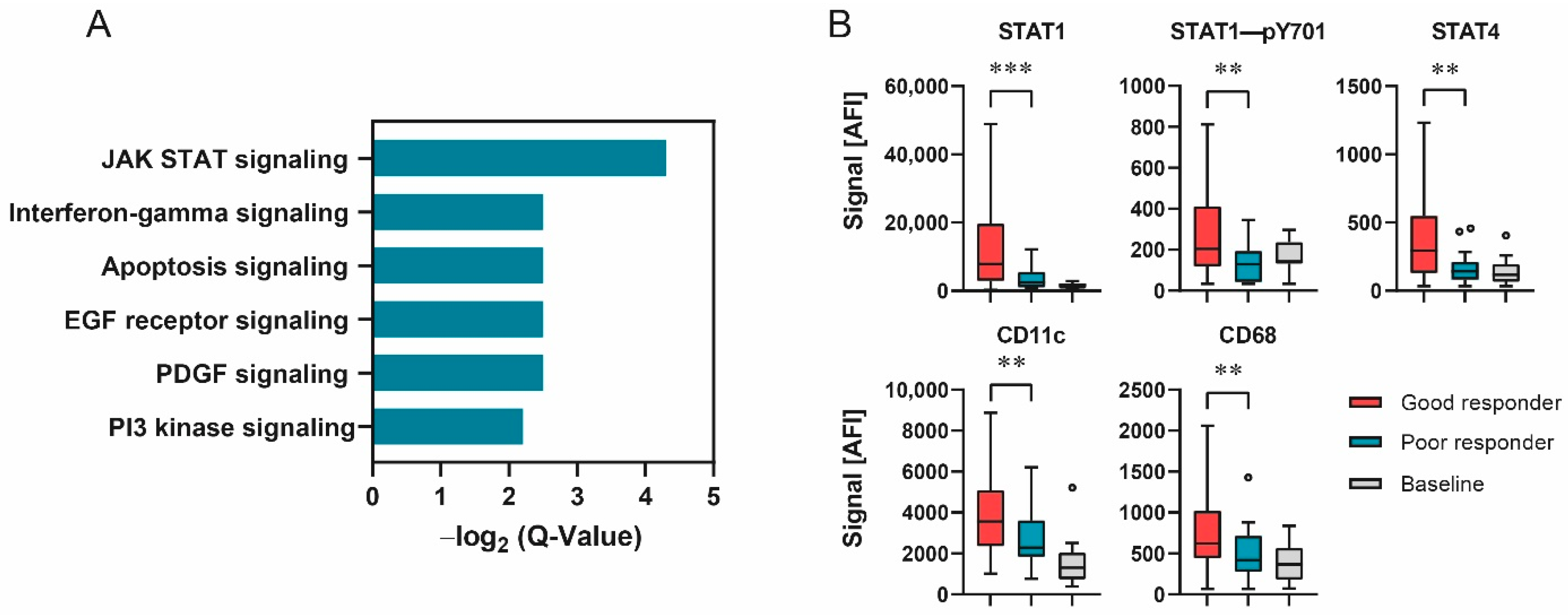 Cancers 14 04542 g002