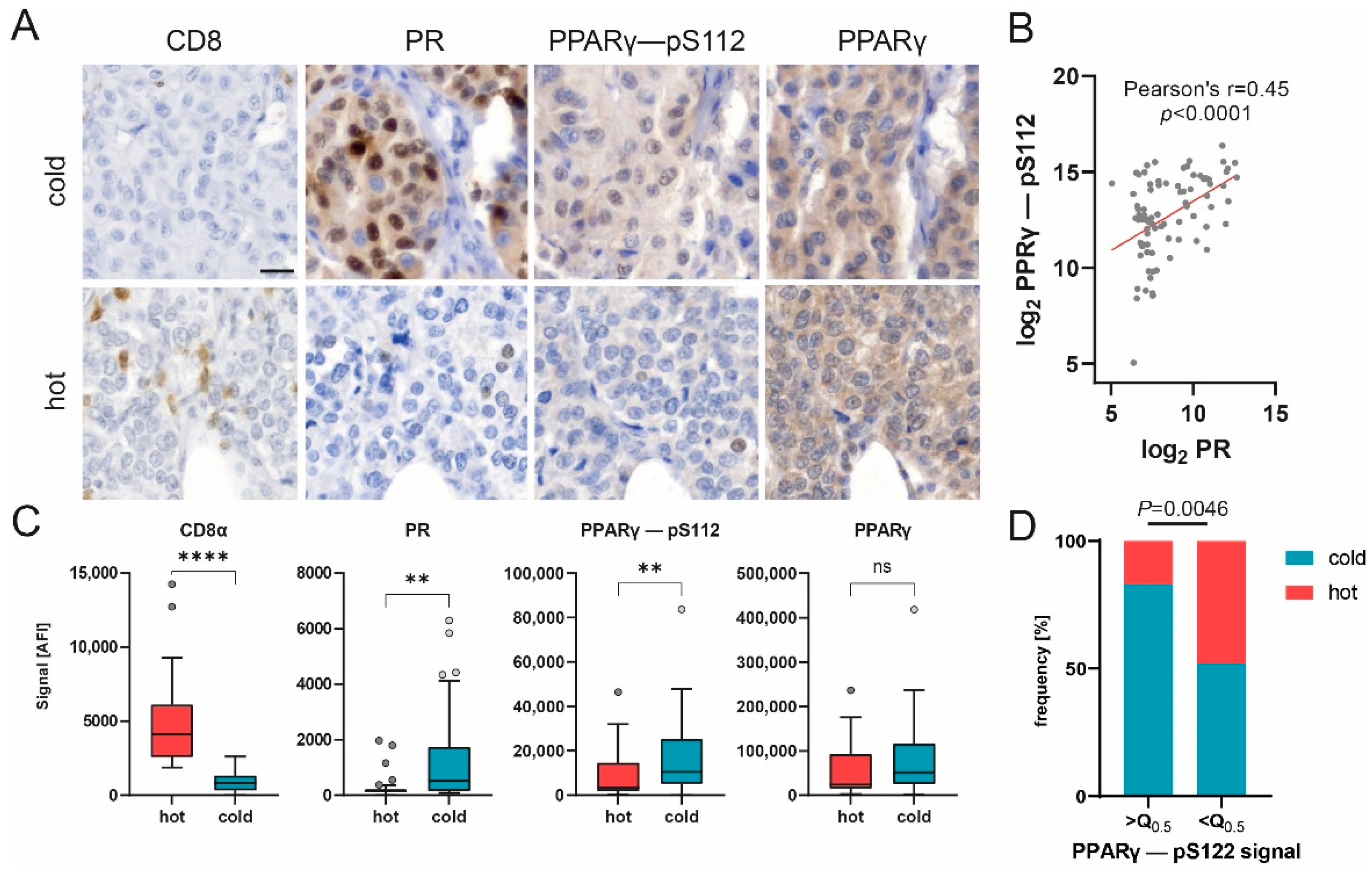 Cancers 14 04542 g005