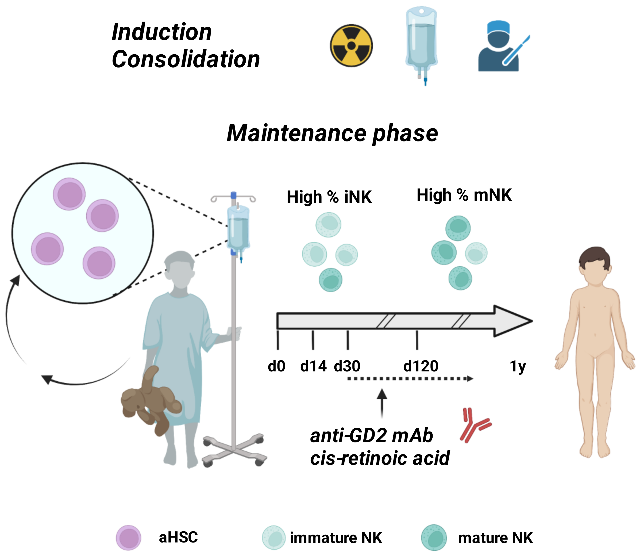Cancers | Free Full-Text | Strategies for Potentiating NK-Mediated  Neuroblastoma Surveillance in Autologous or HLA-Haploidentical  Hematopoietic Stem Cell Transplants
