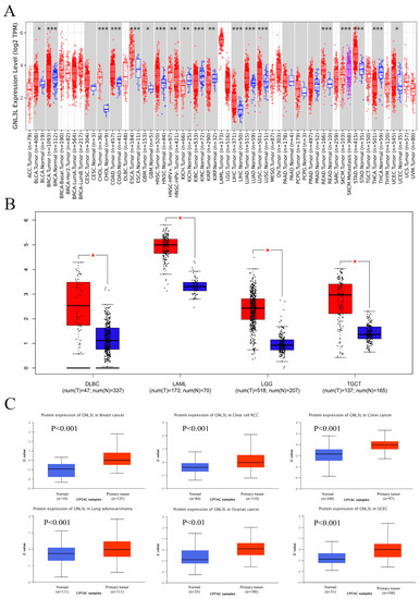 Cancers | Free Full-Text | Multi-Omics Analysis of GNL3L