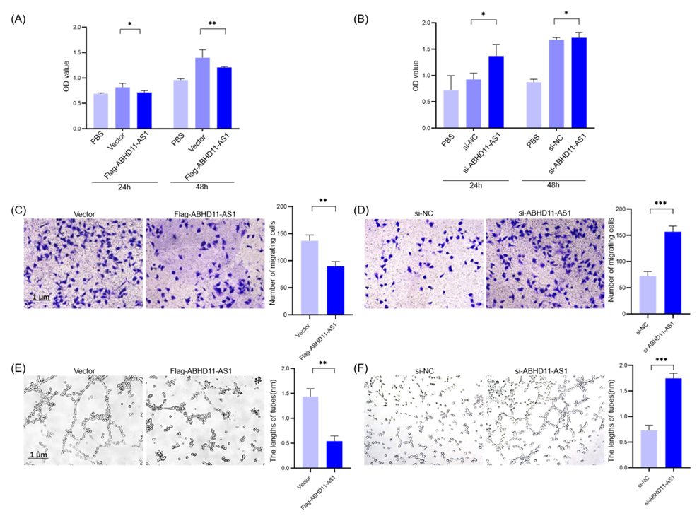 Cancers 14 04612 g005