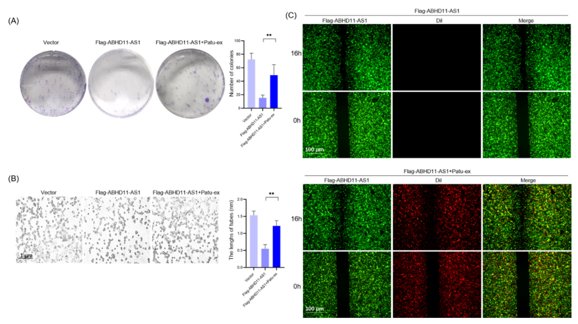 Cancers 14 04612 g006