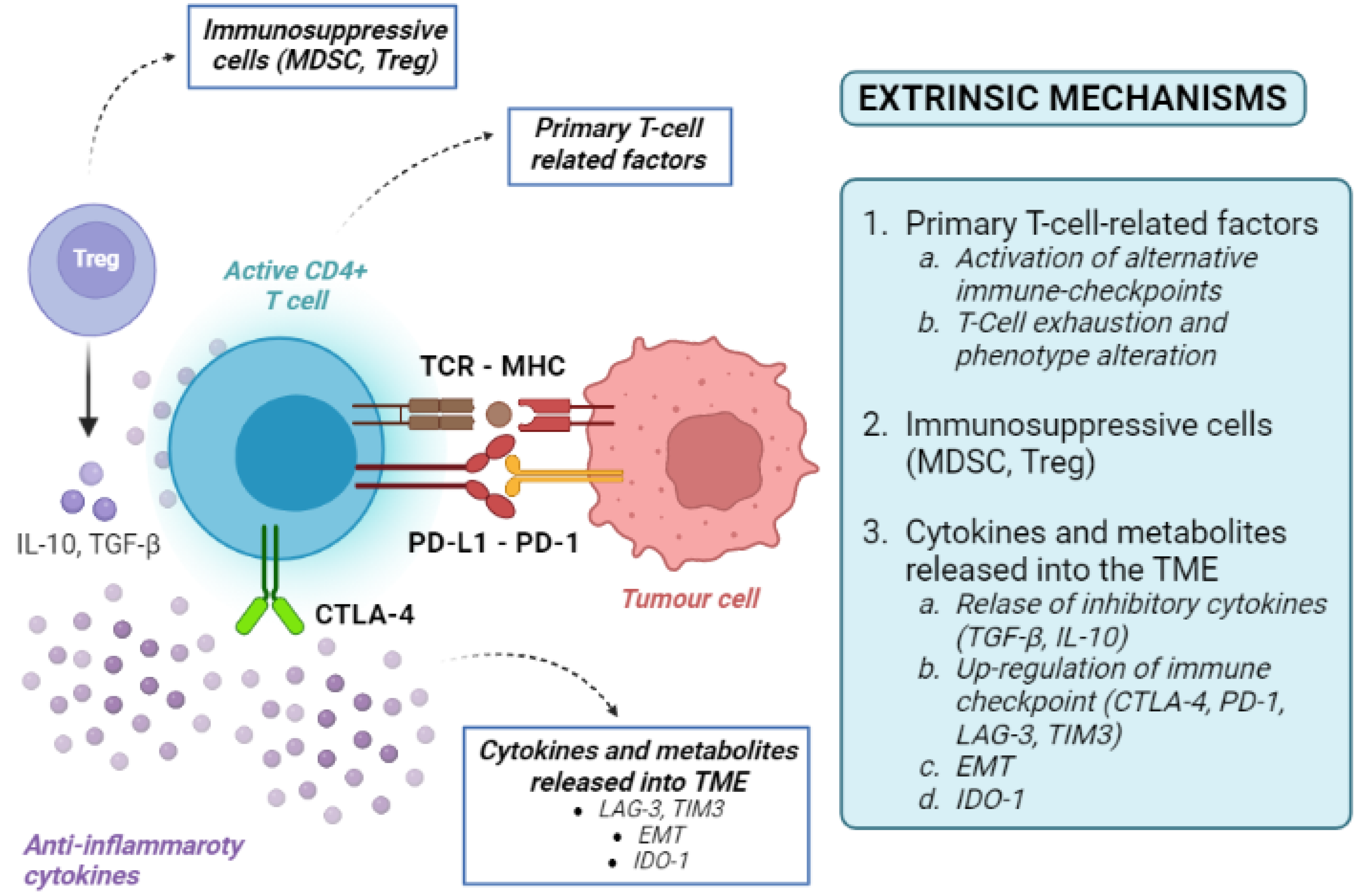 Cancers | Free Full-Text | Mechanisms Of Primary And Acquired ...