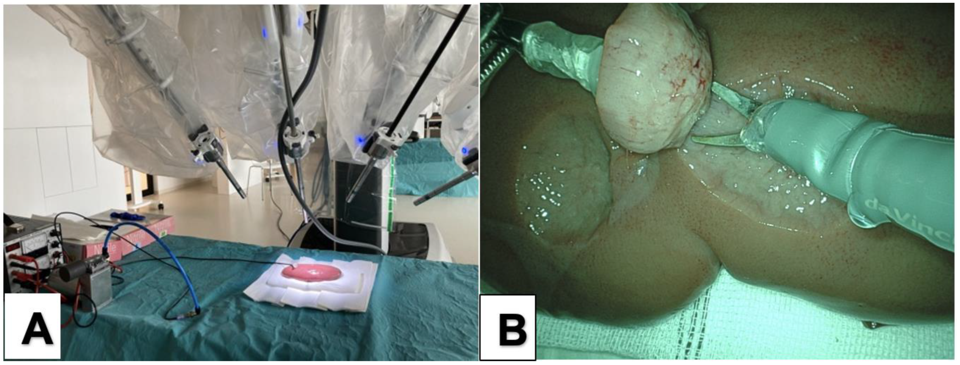 Cancers 14 04618 g002 Cancers 14 04618 g002