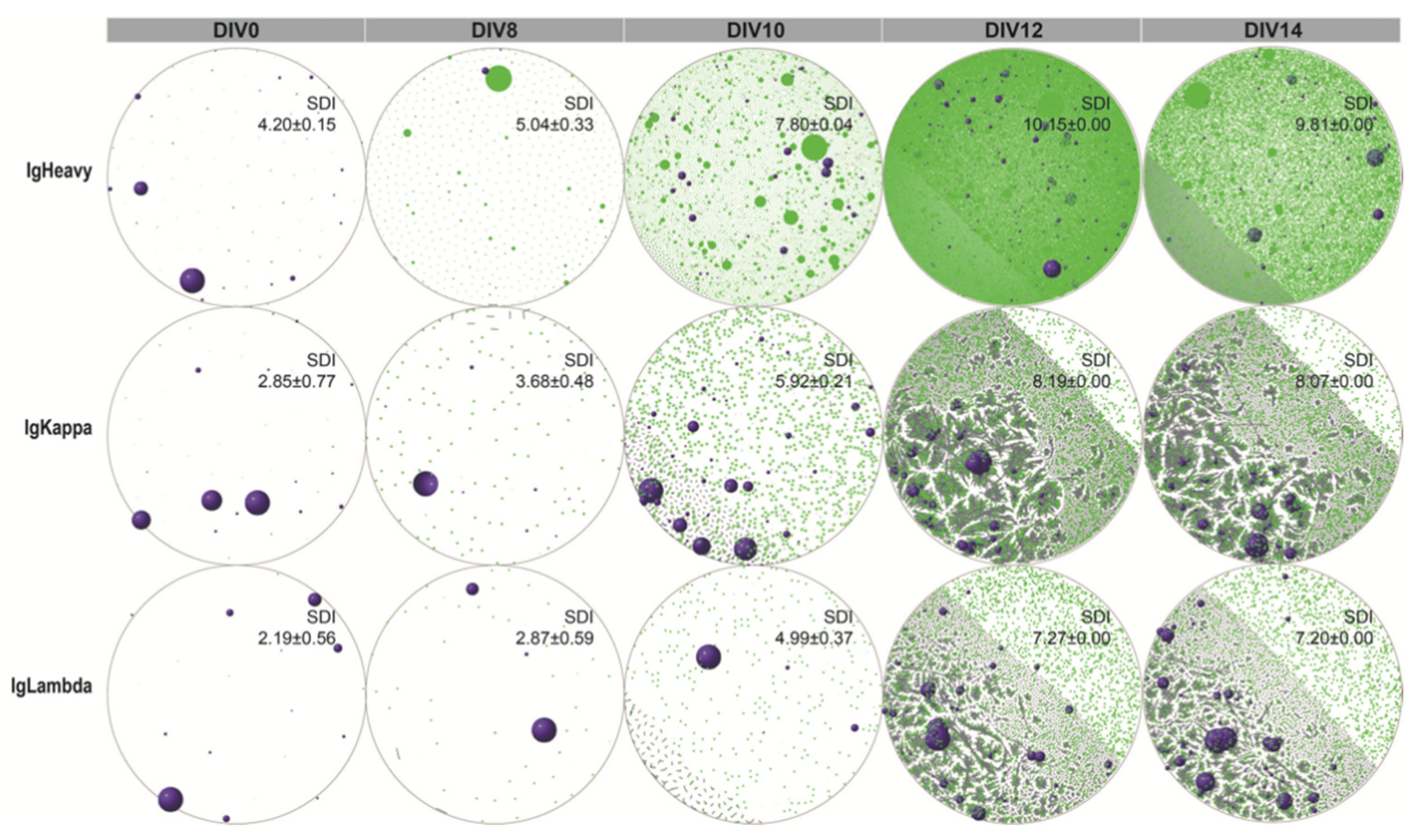 Cancers 14 04628 g002 Cancers 14 04628 g002