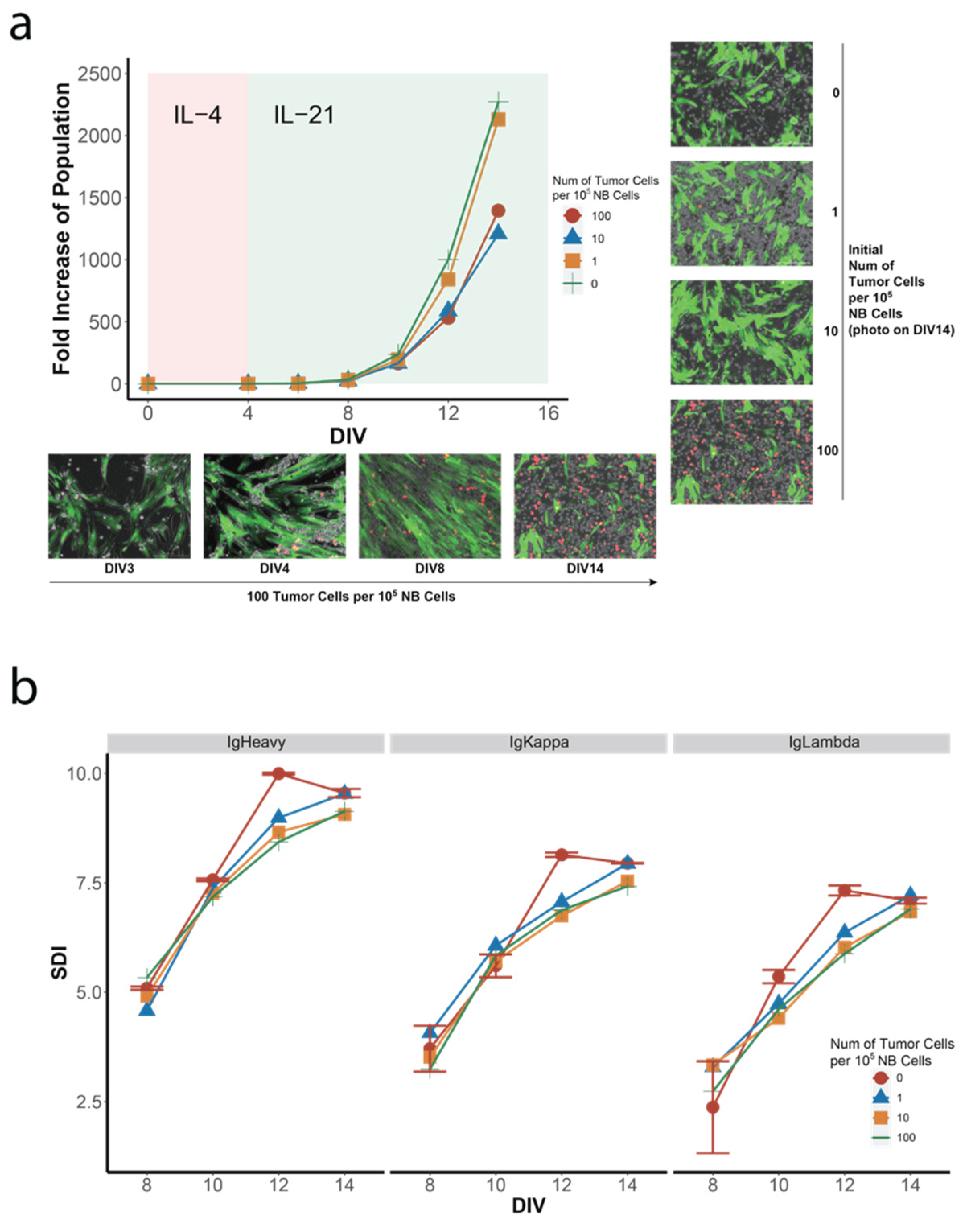 Cancers 14 04628 g003 Cancers 14 04628 g003