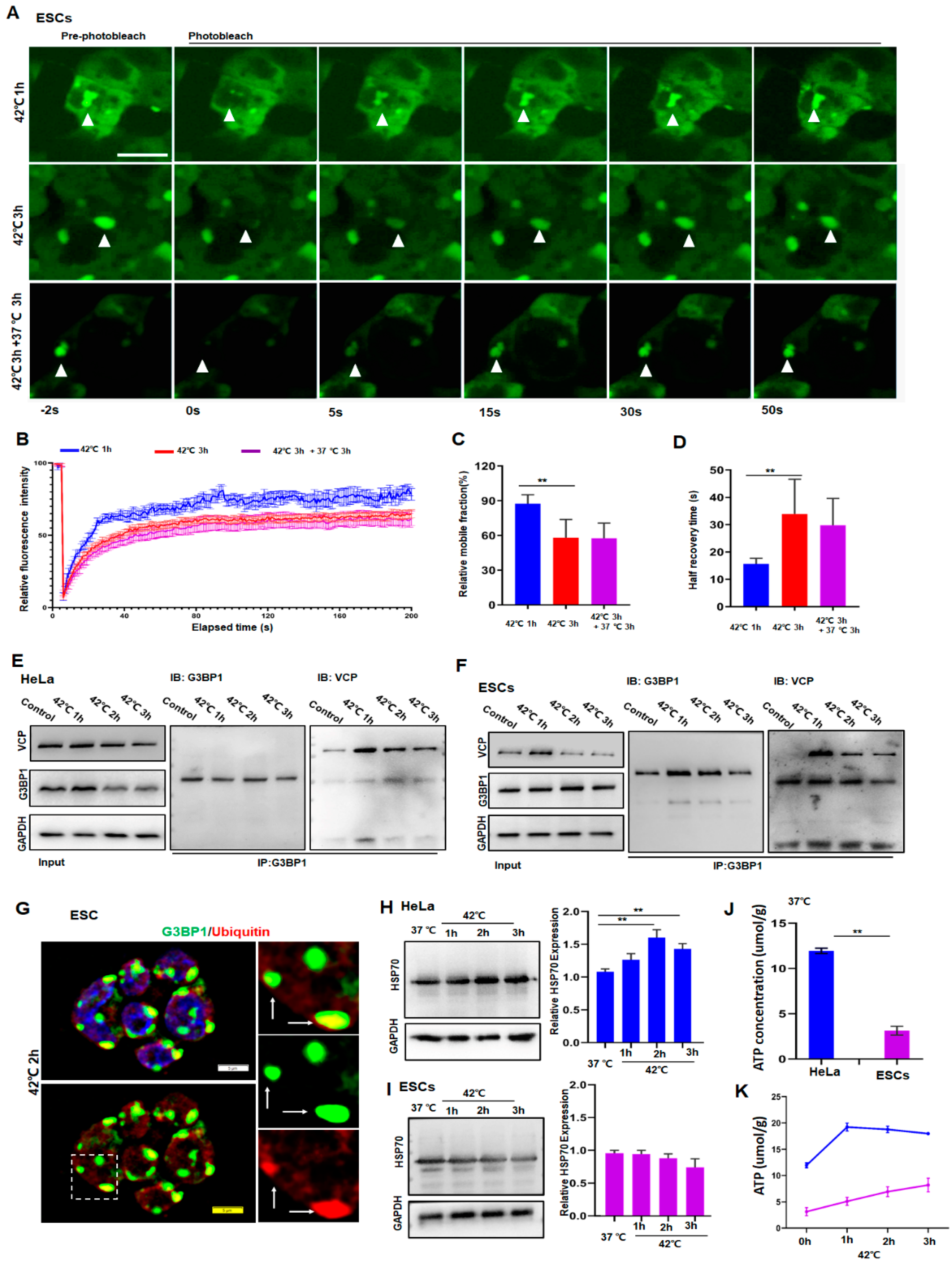 Cancers 14 04671 g002