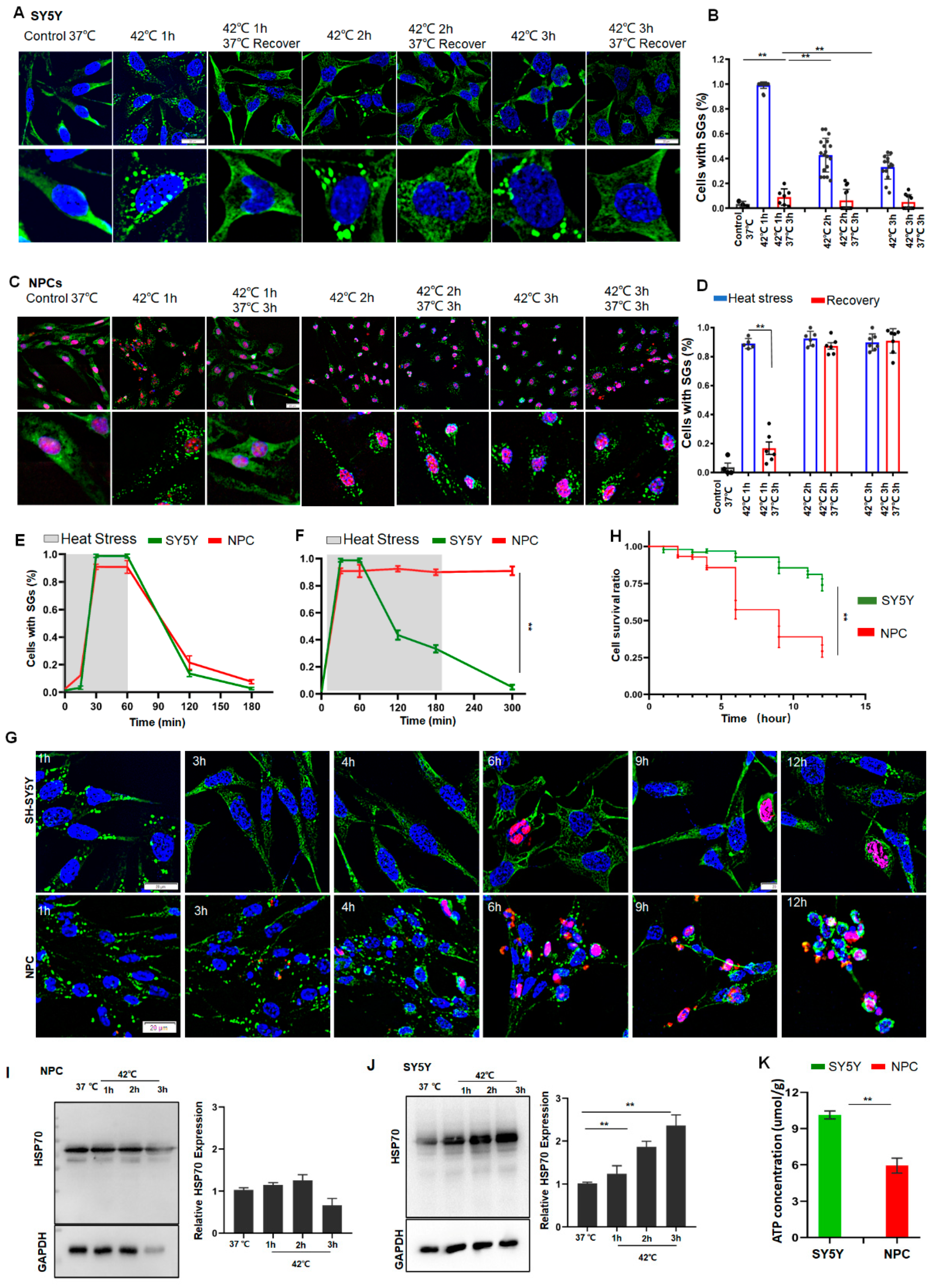 Cancers 14 04671 g003