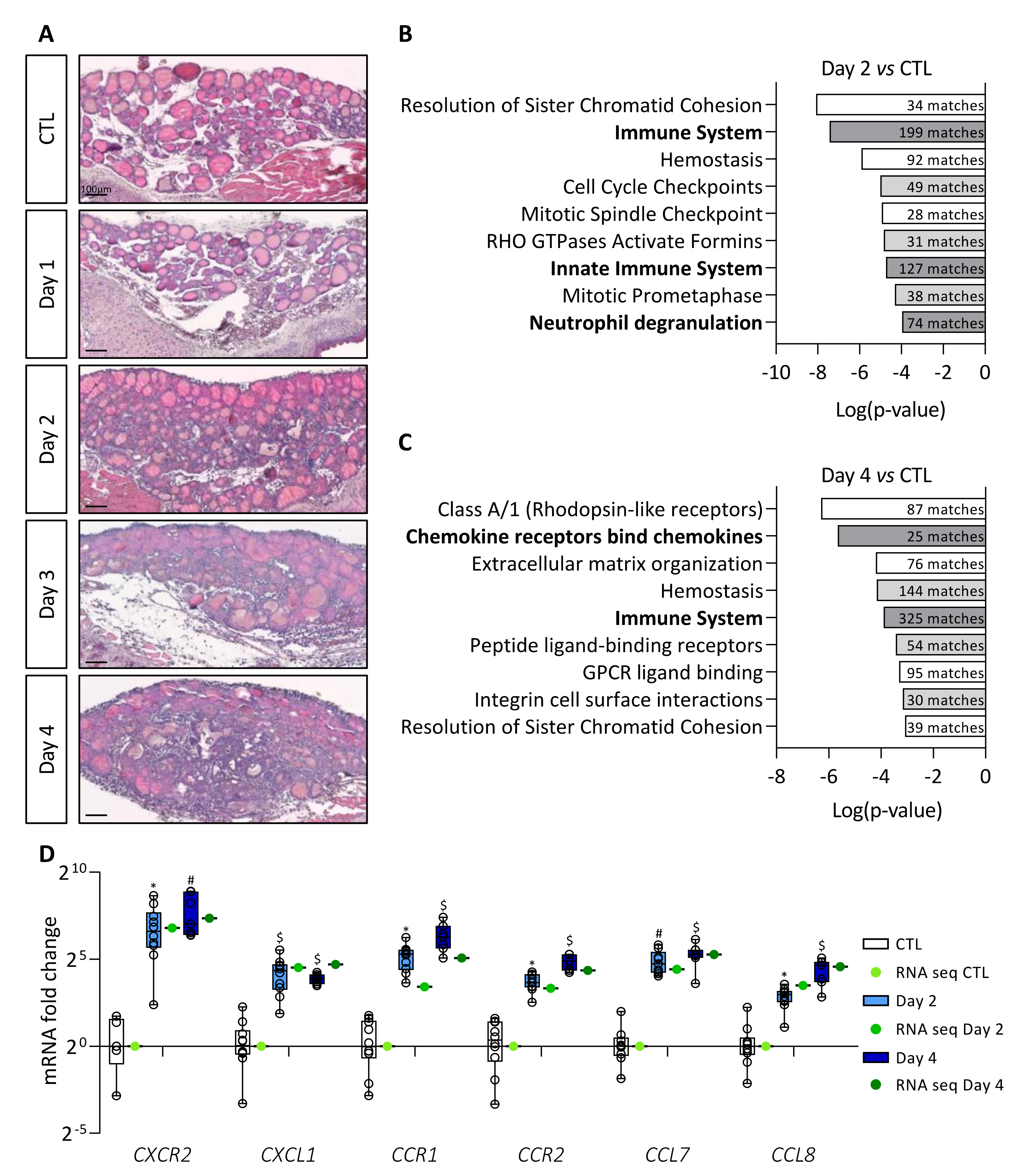 Cancers 14 04687 g001 Cancers 14 04687 g001