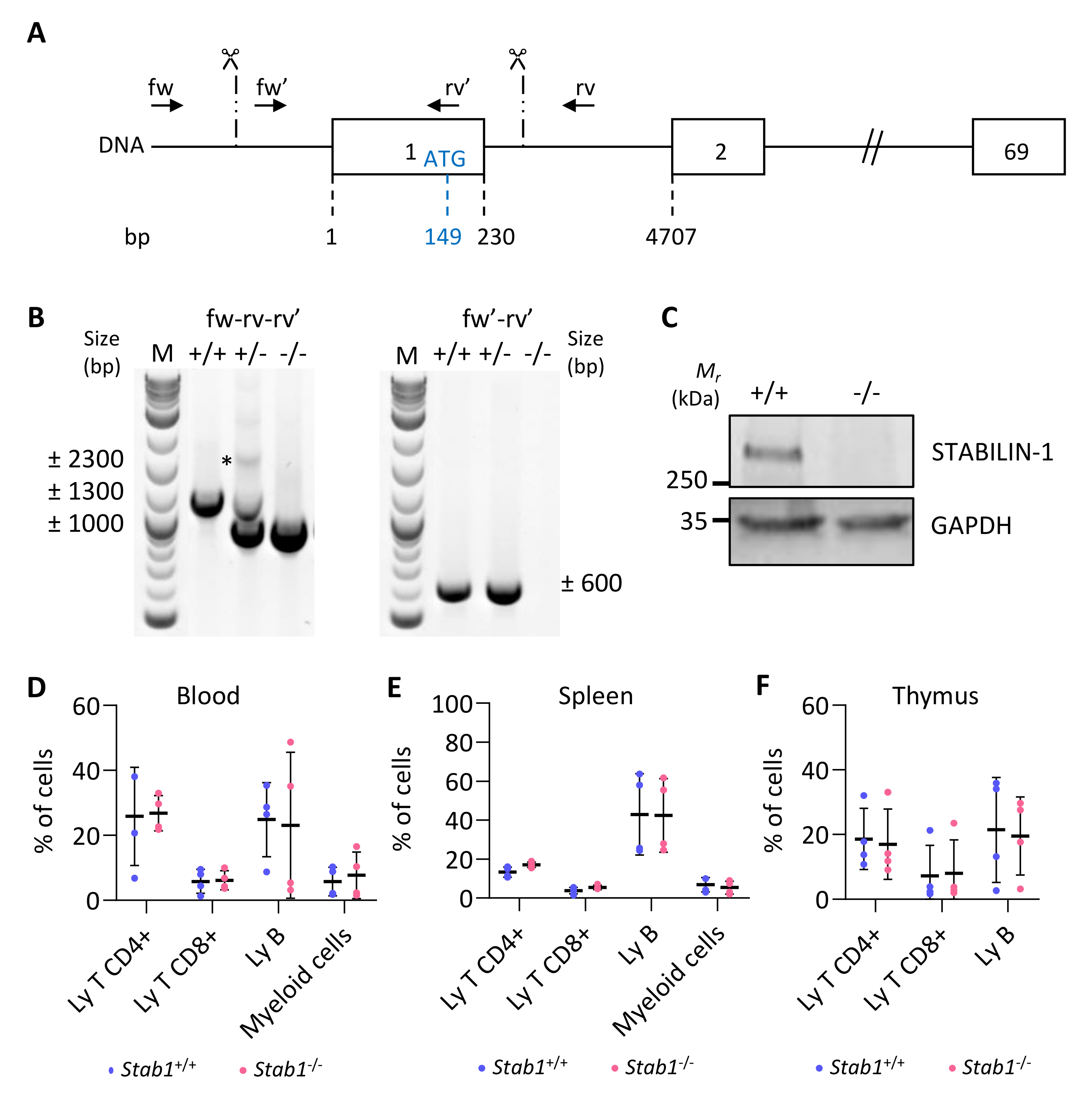 Cancers 14 04687 g003 Cancers 14 04687 g003