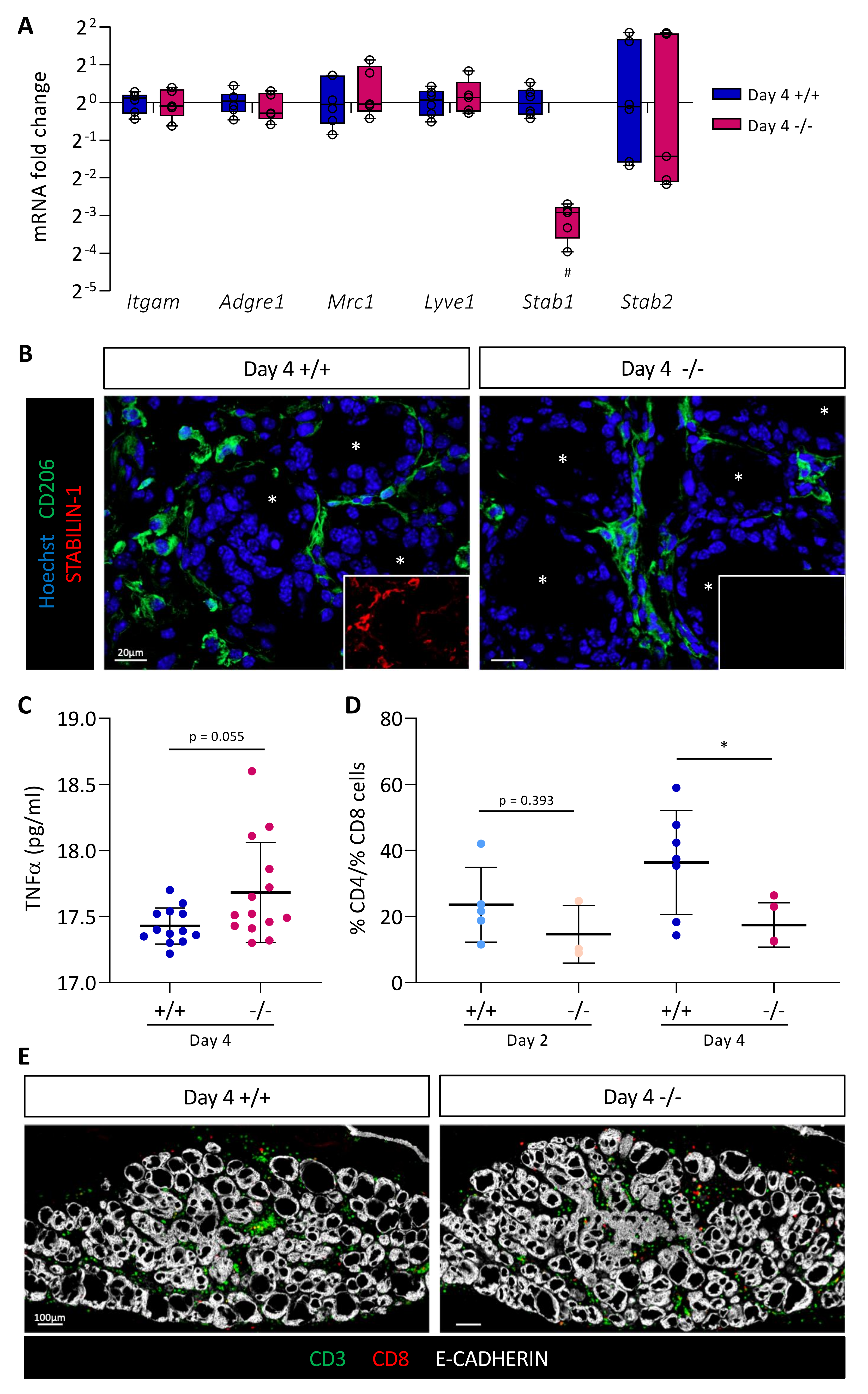 Cancers 14 04687 g005 Cancers 14 04687 g005