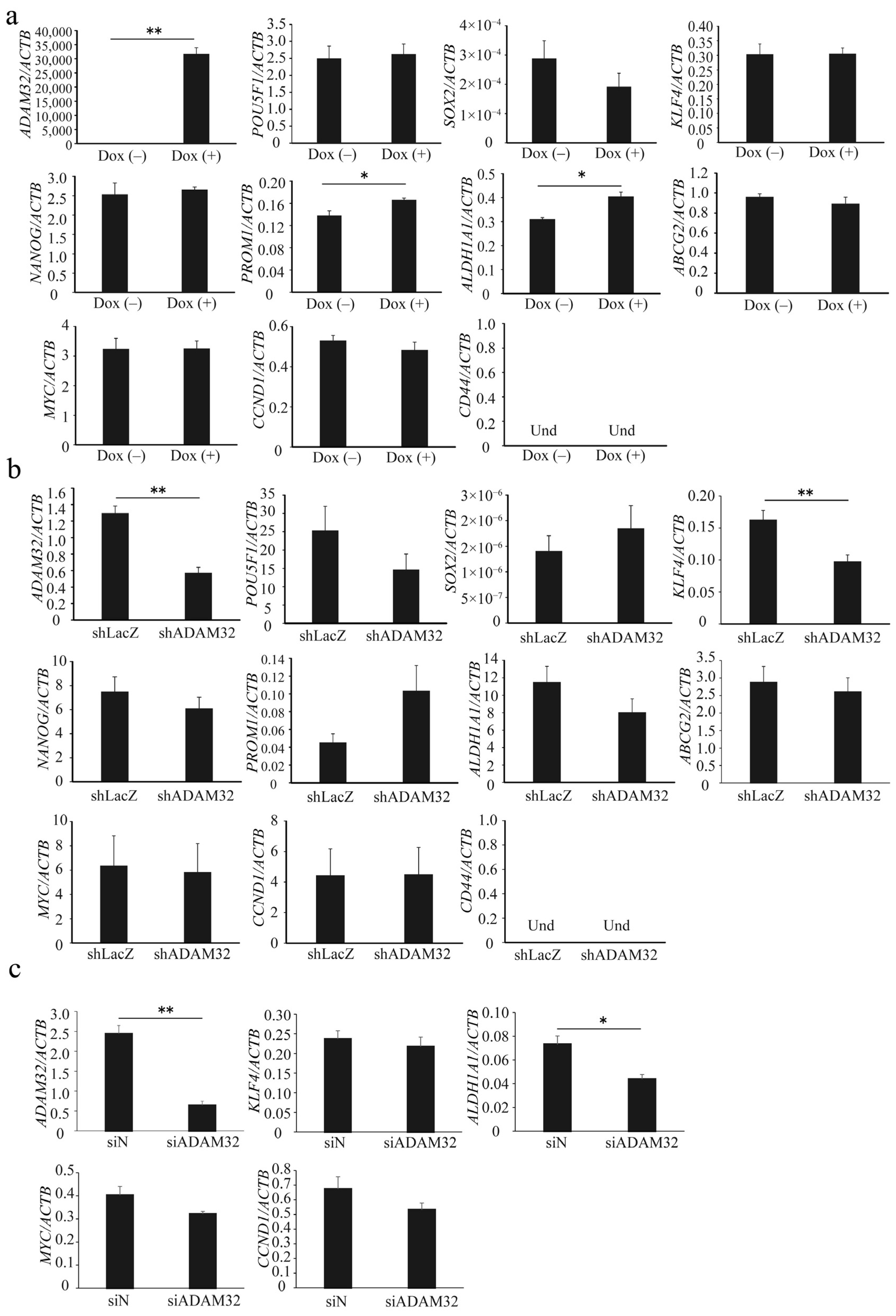 Cancers 14 04732 g003