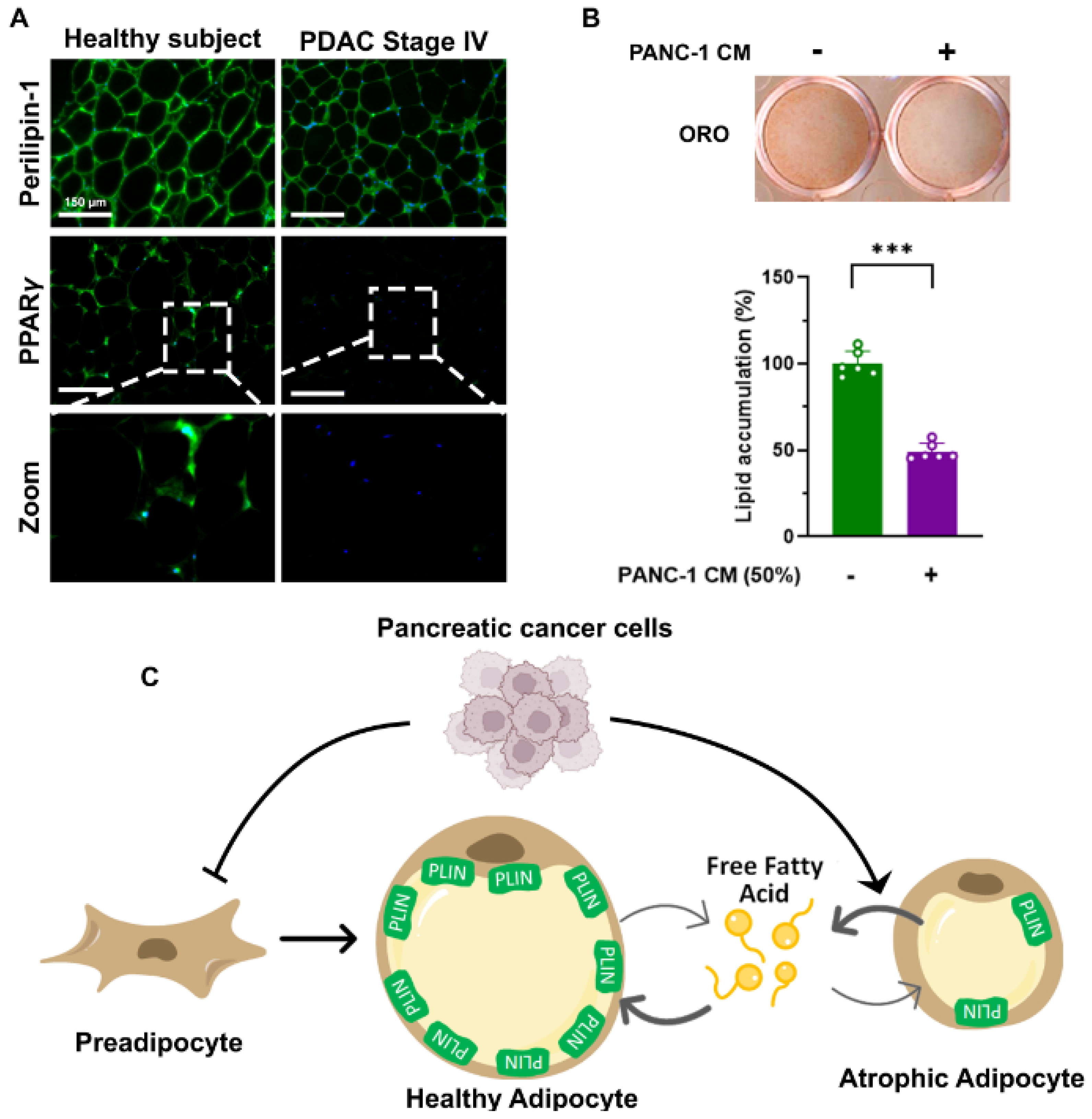 Cancers 14 04754 g002