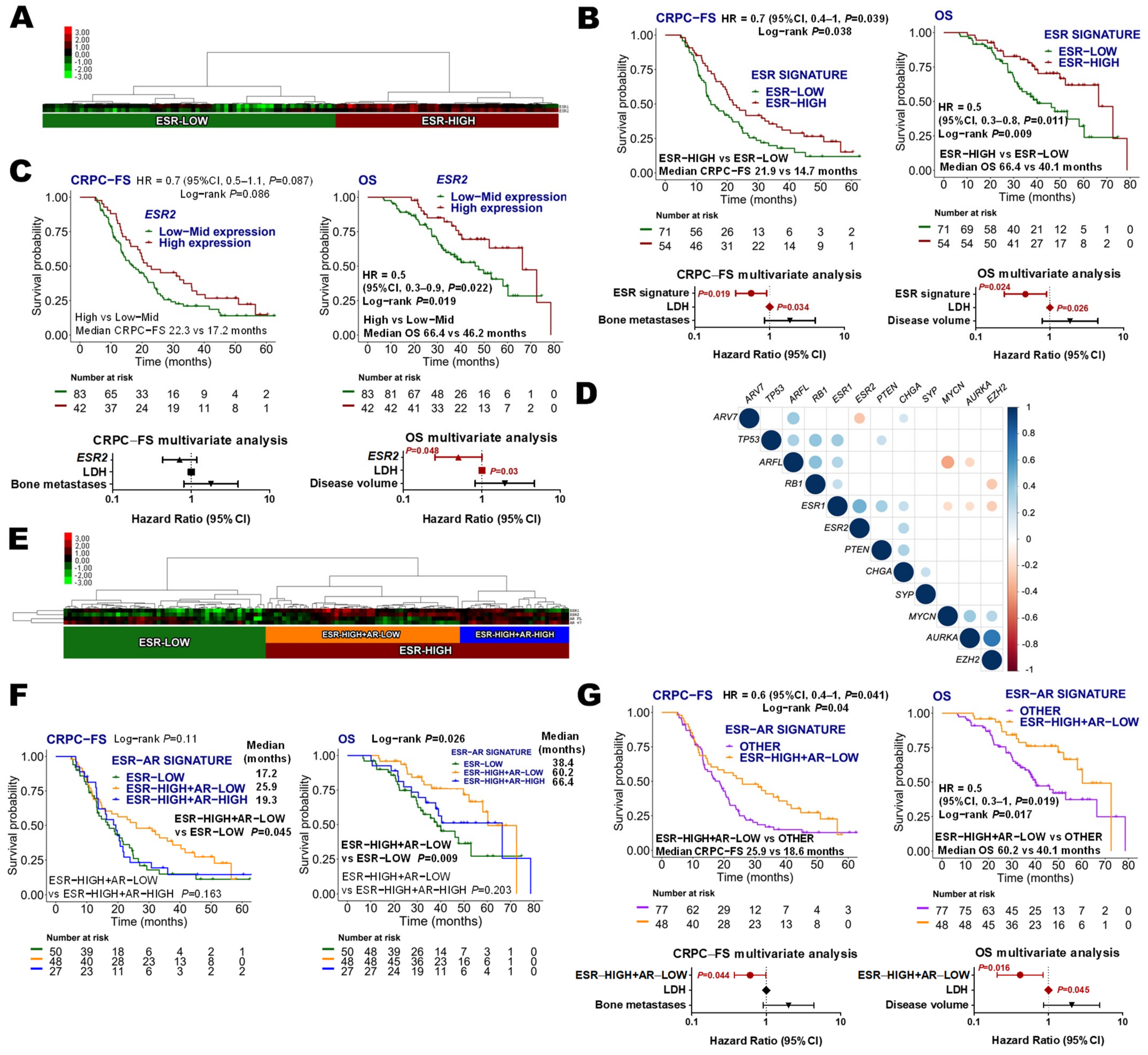 Cancers 14 04757 g003 Cancers 14 04757 g003