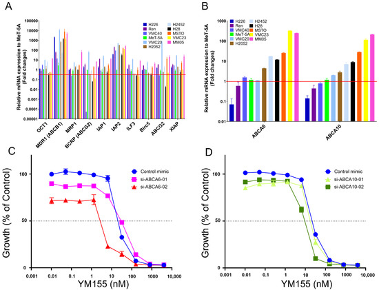 Downregulation of microRNA-34 induces cell proliferation and invasion of  human mesothelial cells