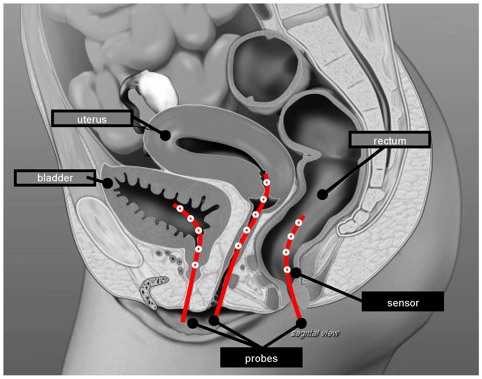 Cancers 14 04795 g002