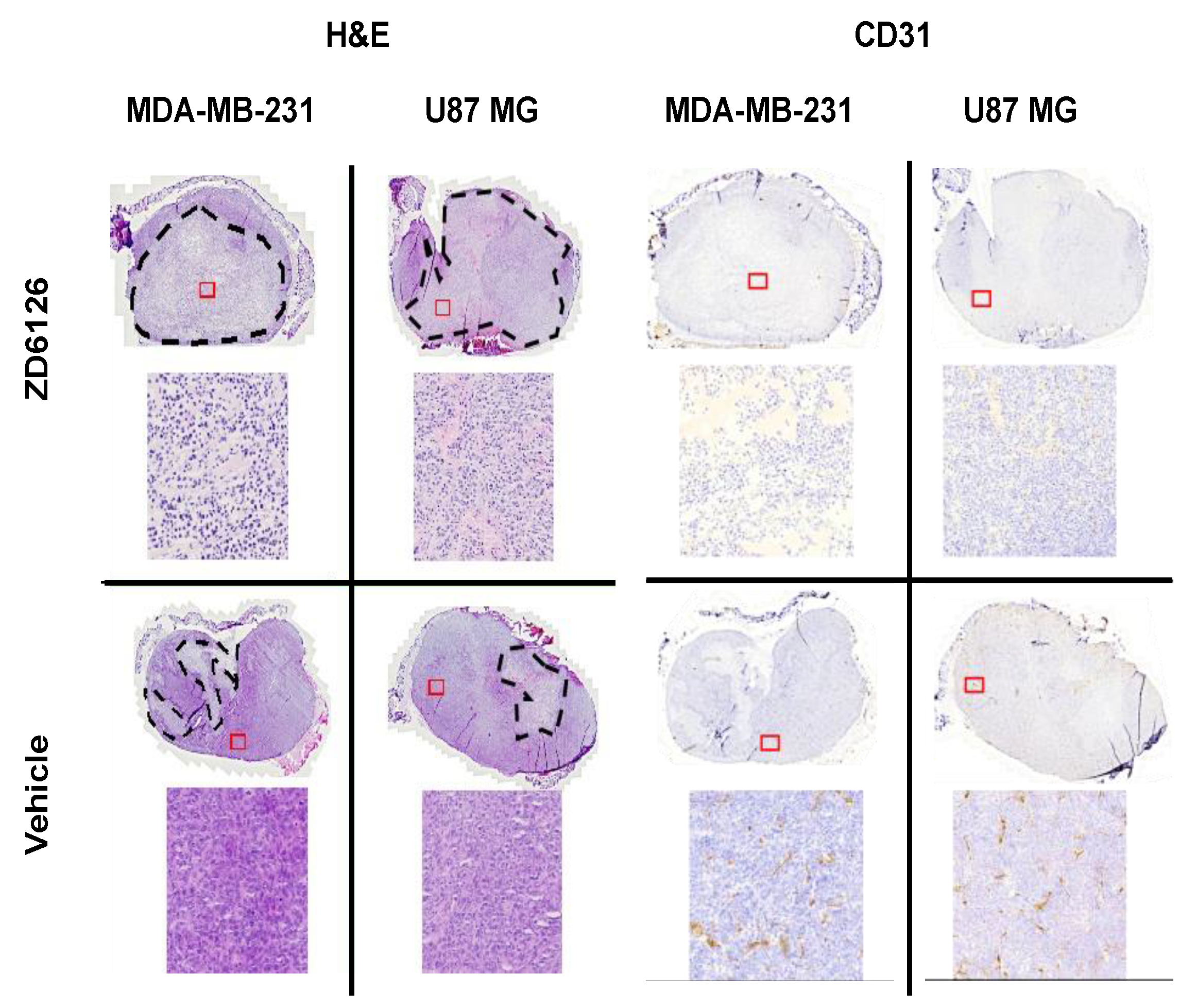 Cancers 14 04832 g0a3