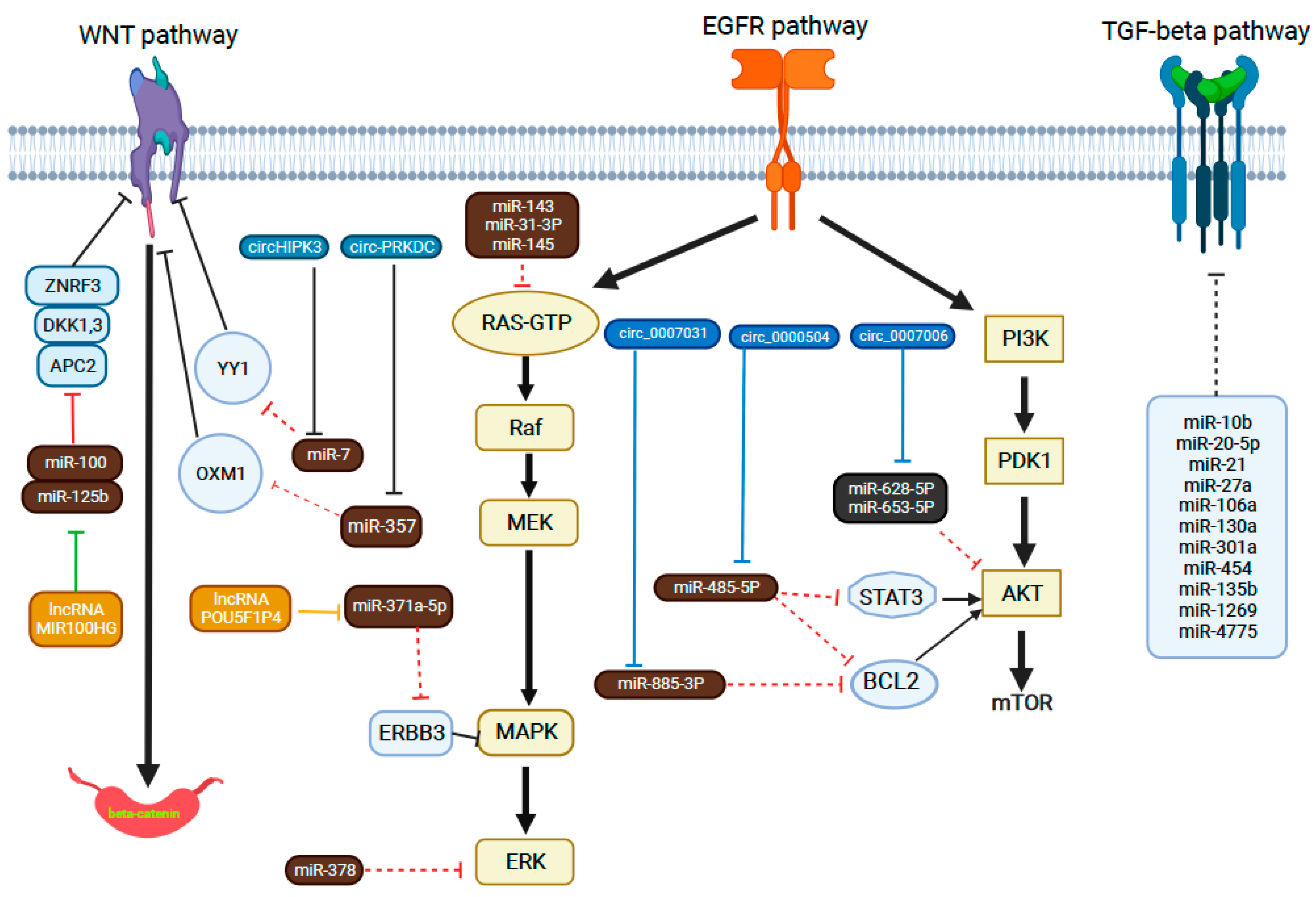 Cancers 14 04834 g005 Cancers 14 04834 g005
