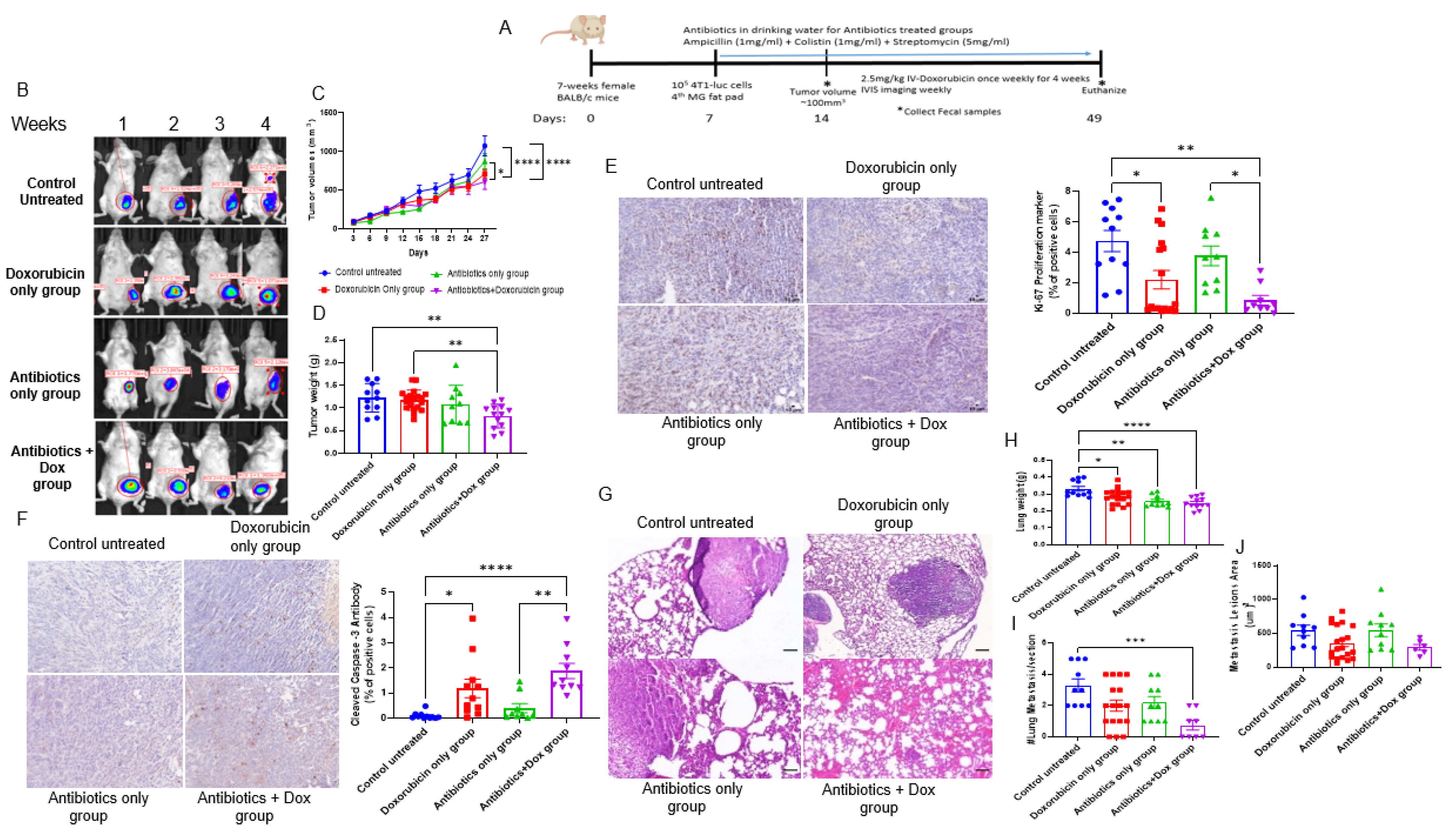Cancers 14 04849 g001 Cancers 14 04849 g001