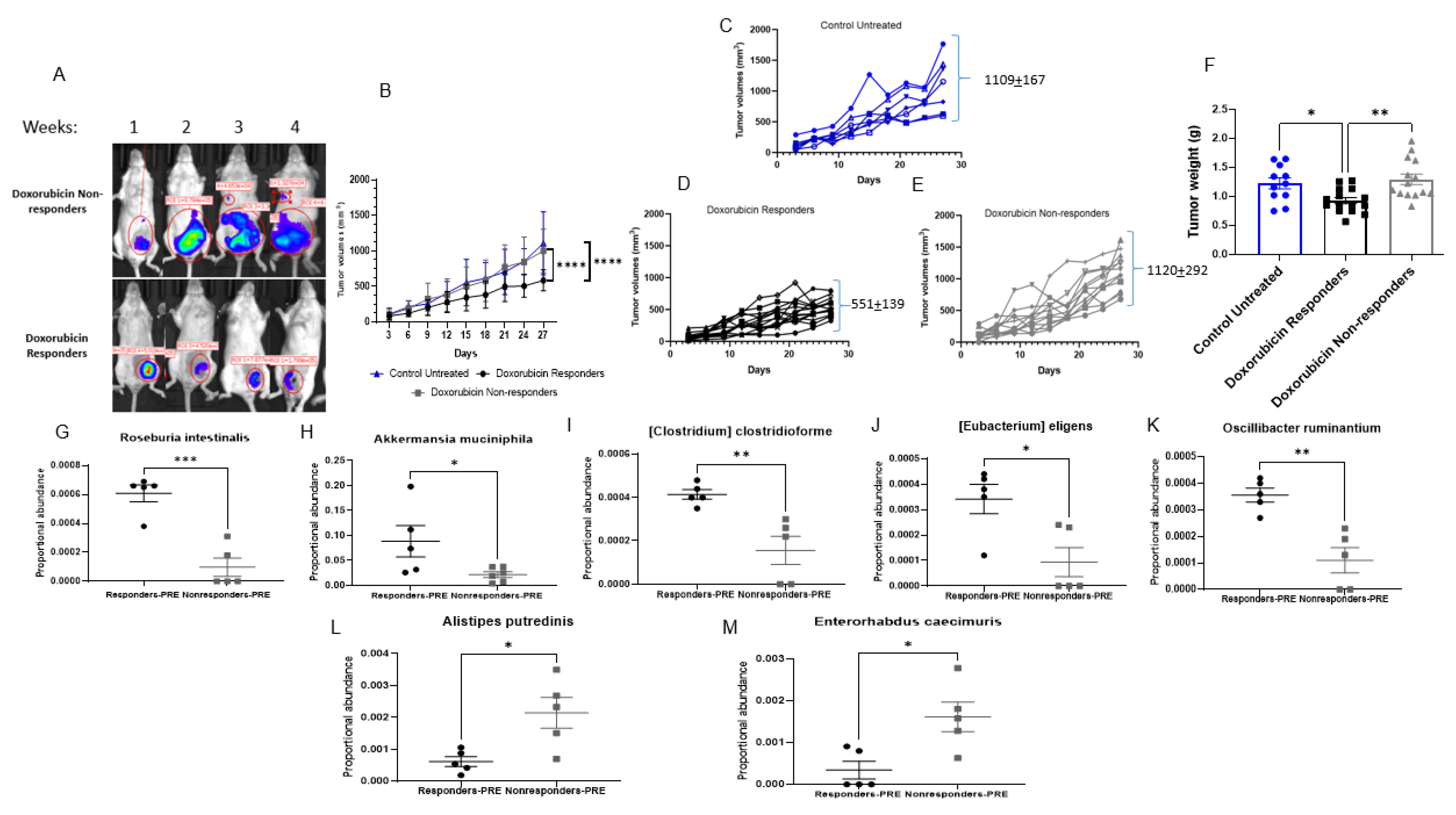 Cancers 14 04849 g003 Cancers 14 04849 g003