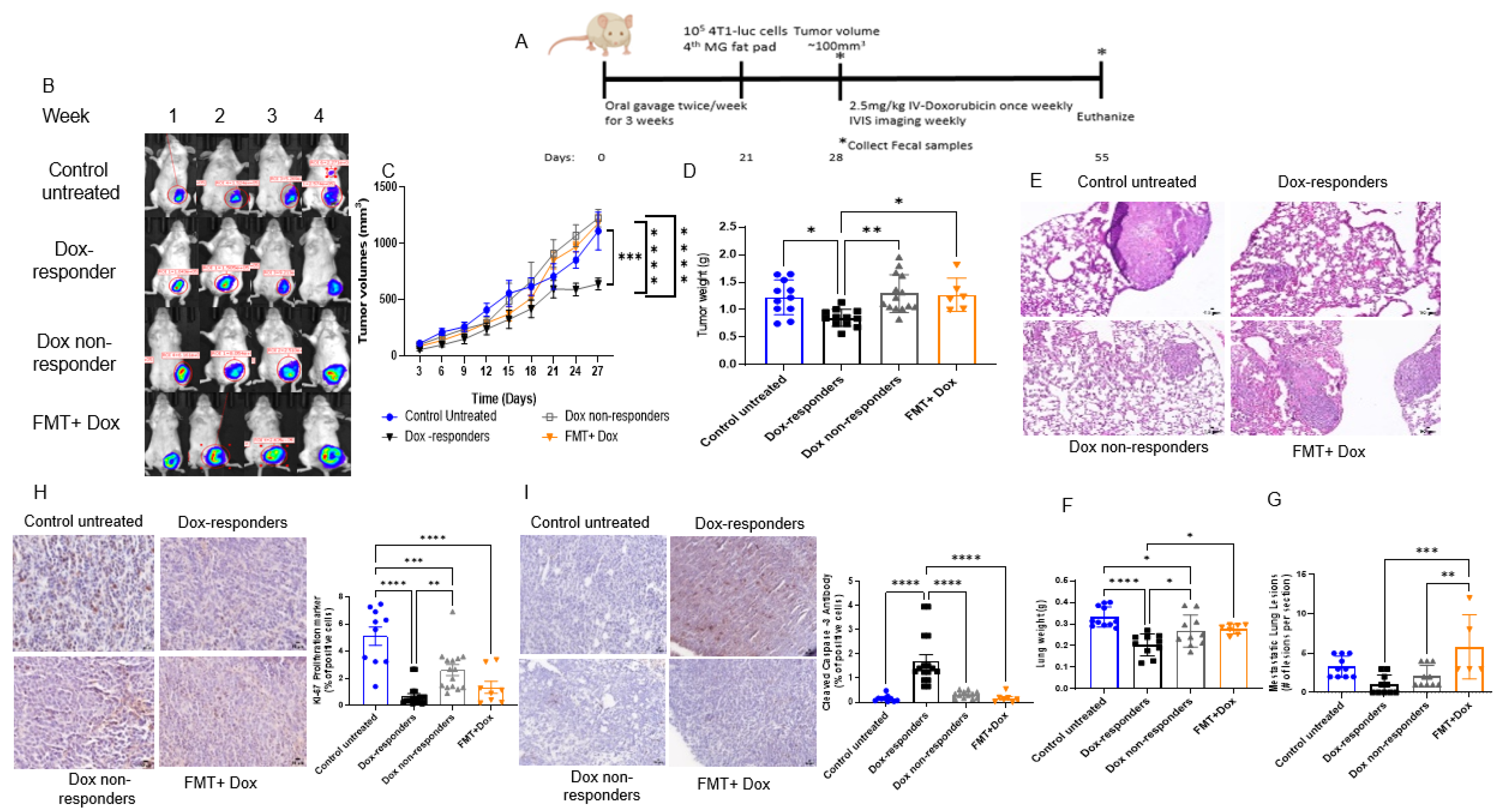 Cancers 14 04849 g004 Cancers 14 04849 g004