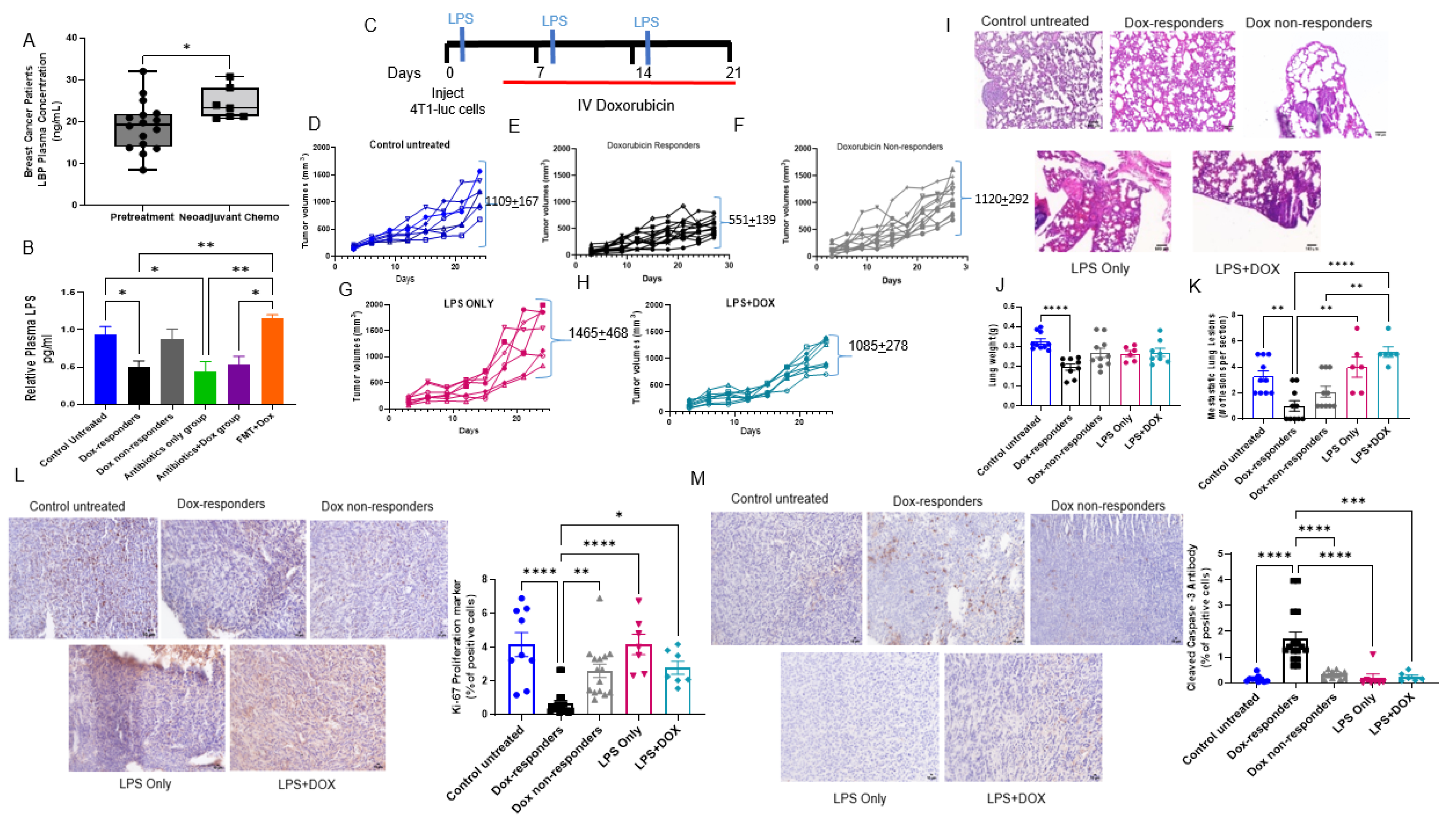 Cancers 14 04849 g005 Cancers 14 04849 g005