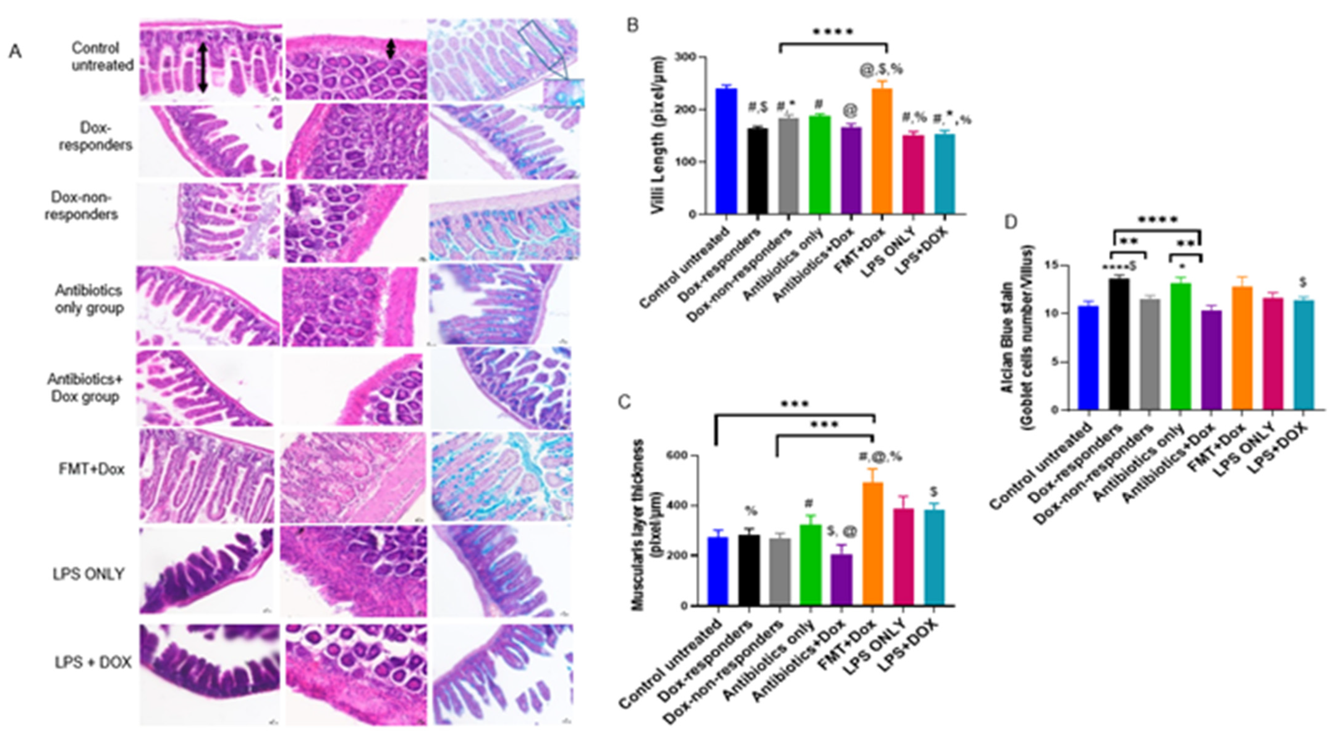 Cancers 14 04849 g006 Cancers 14 04849 g006