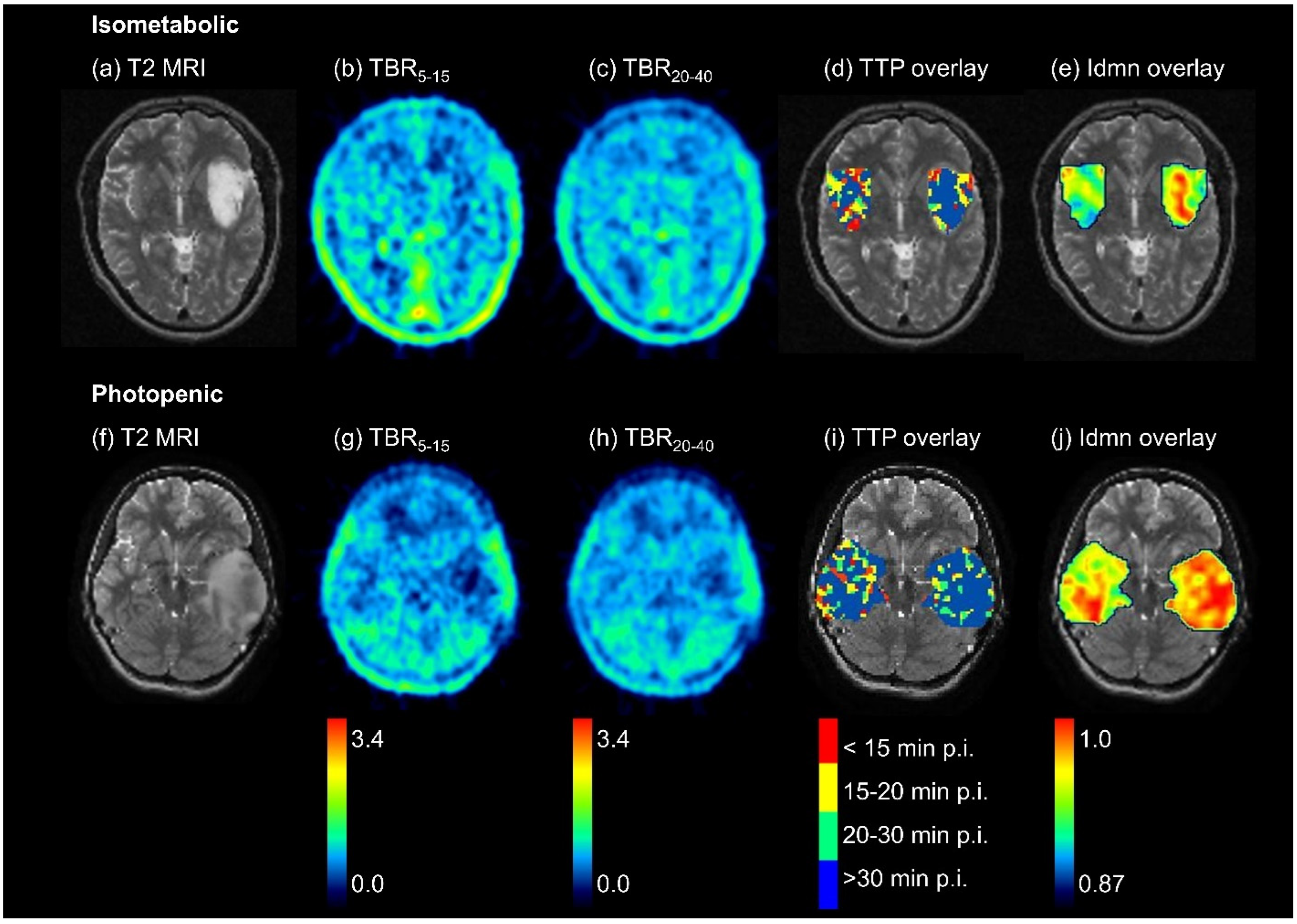 Cancers 14 04860 g002